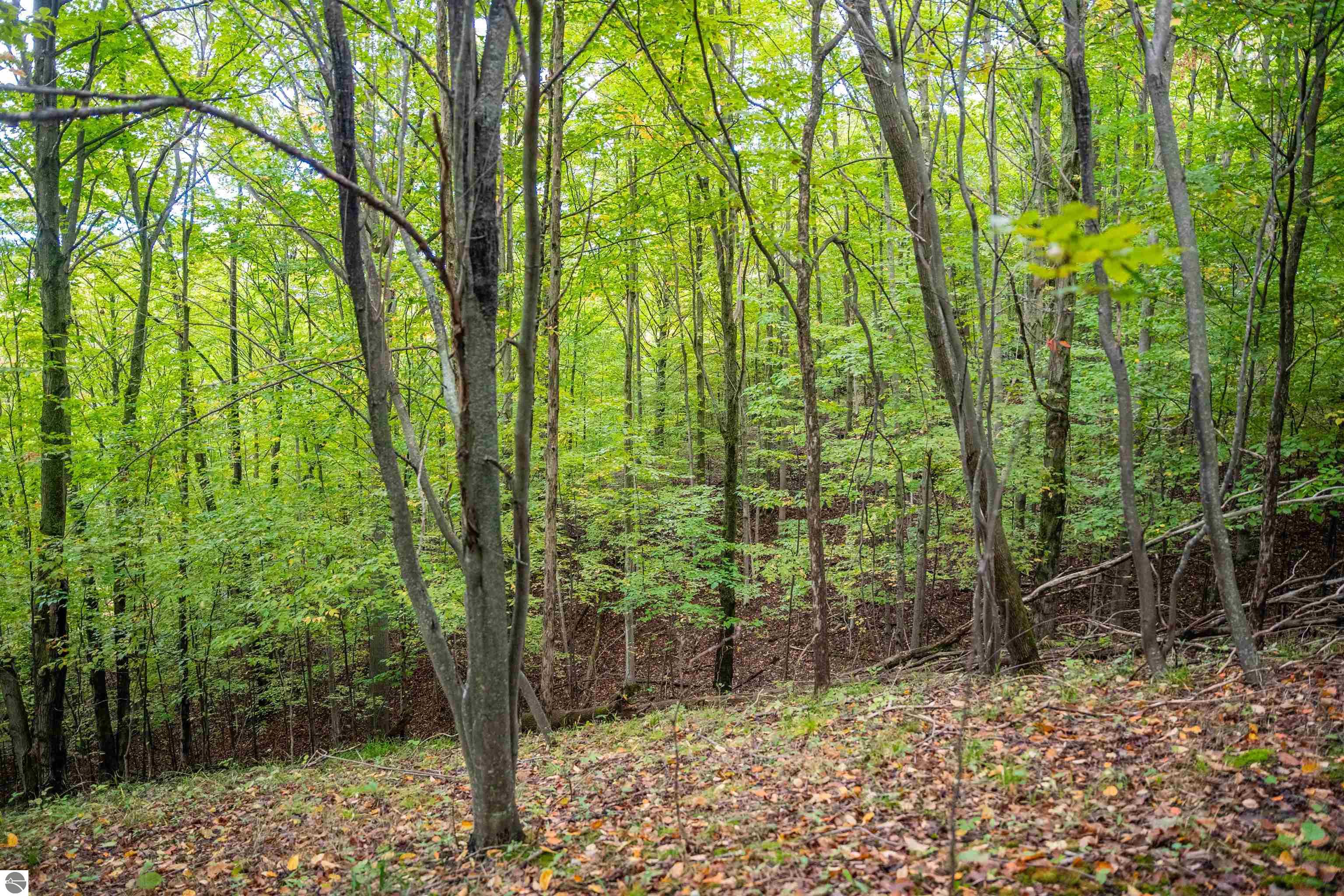 Image 65
