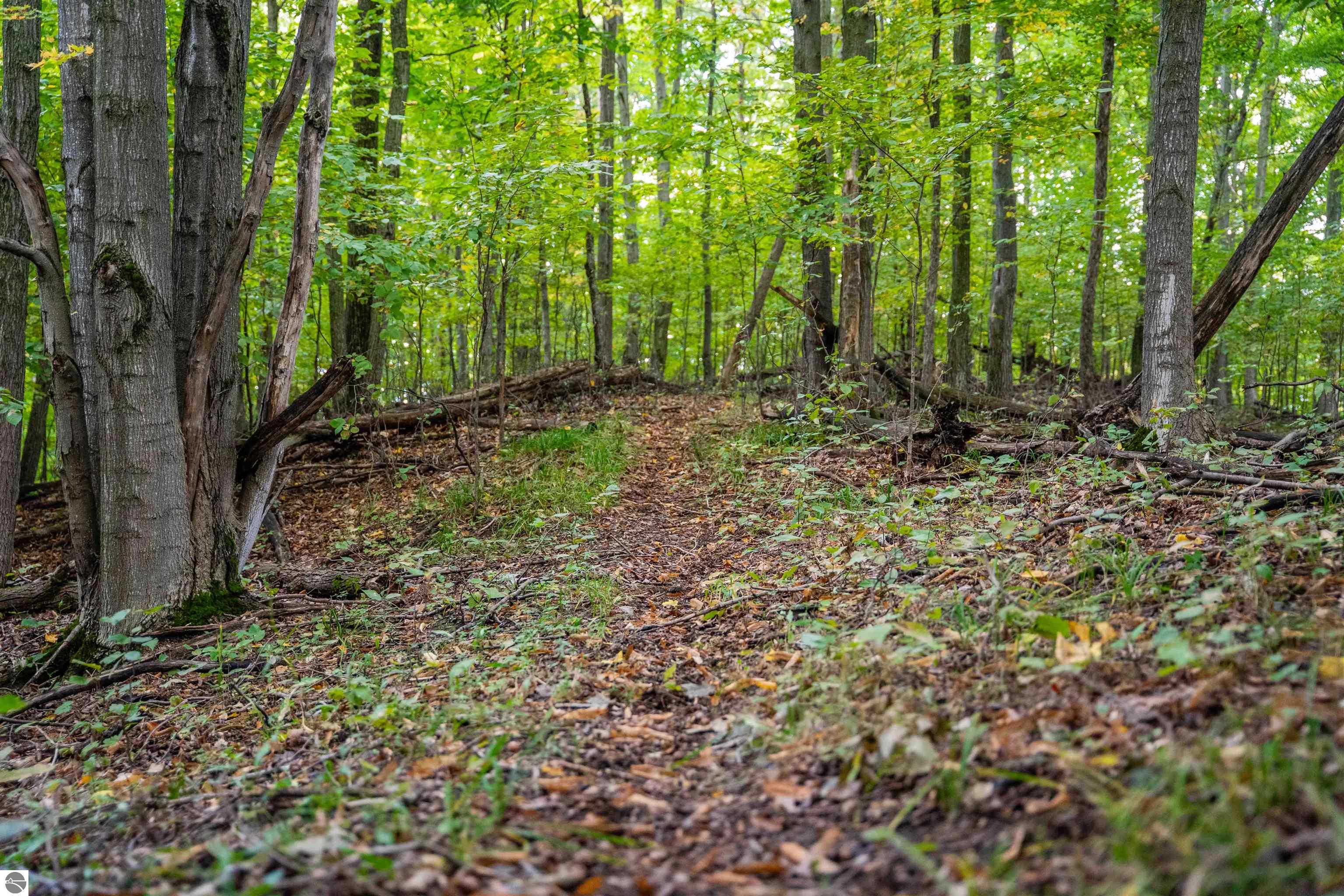 Image 67
