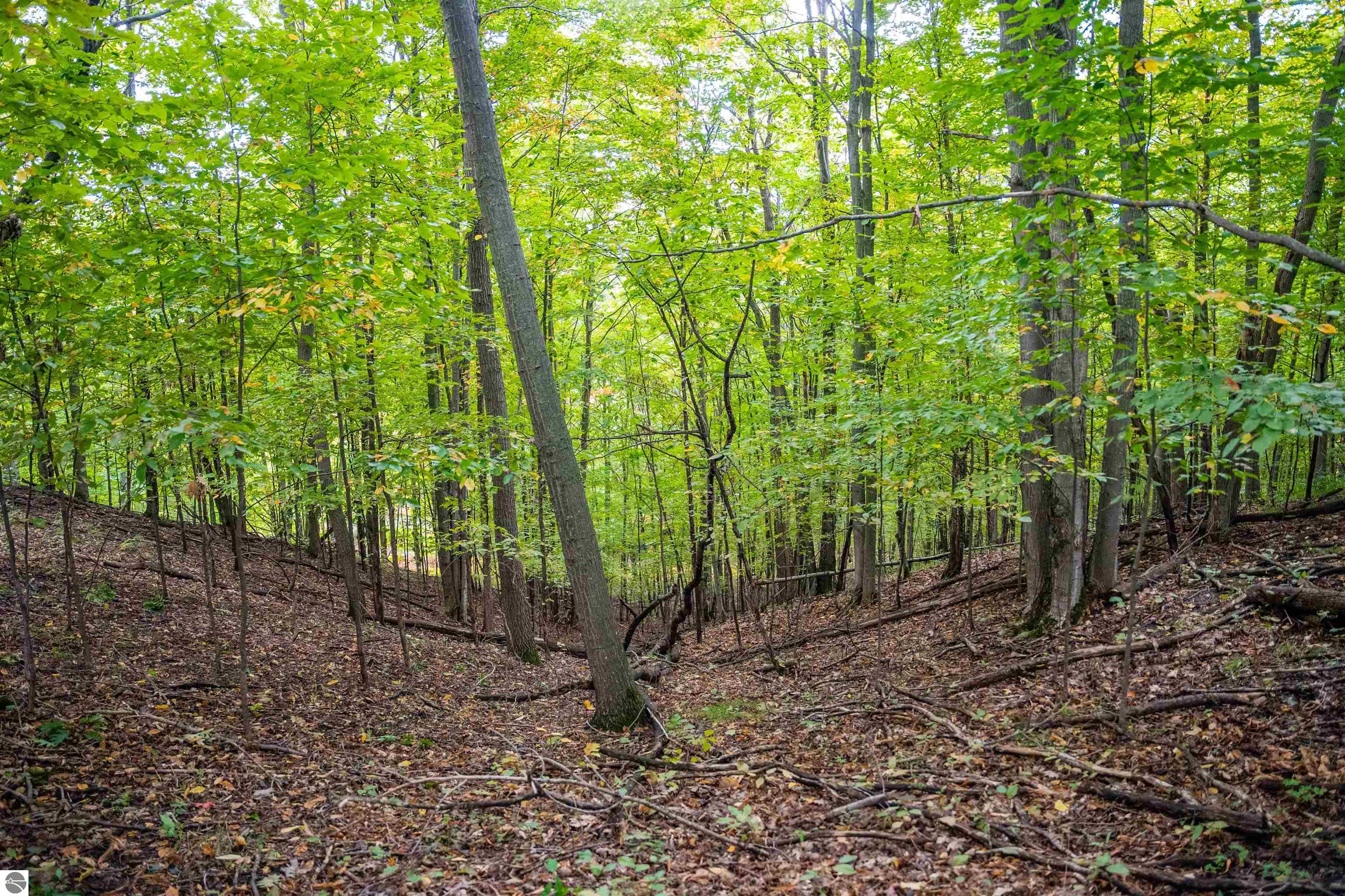 Image 68