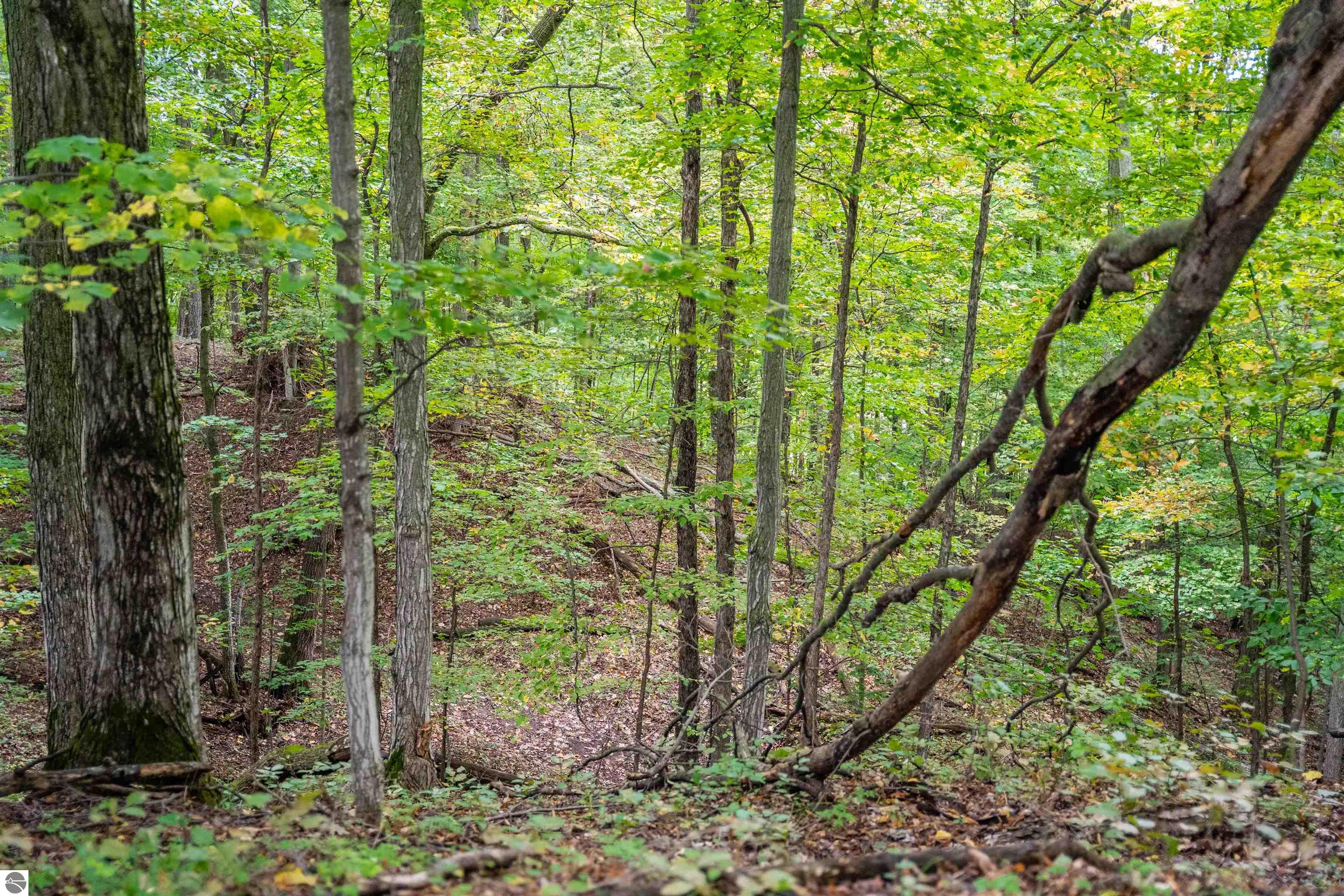Image 69