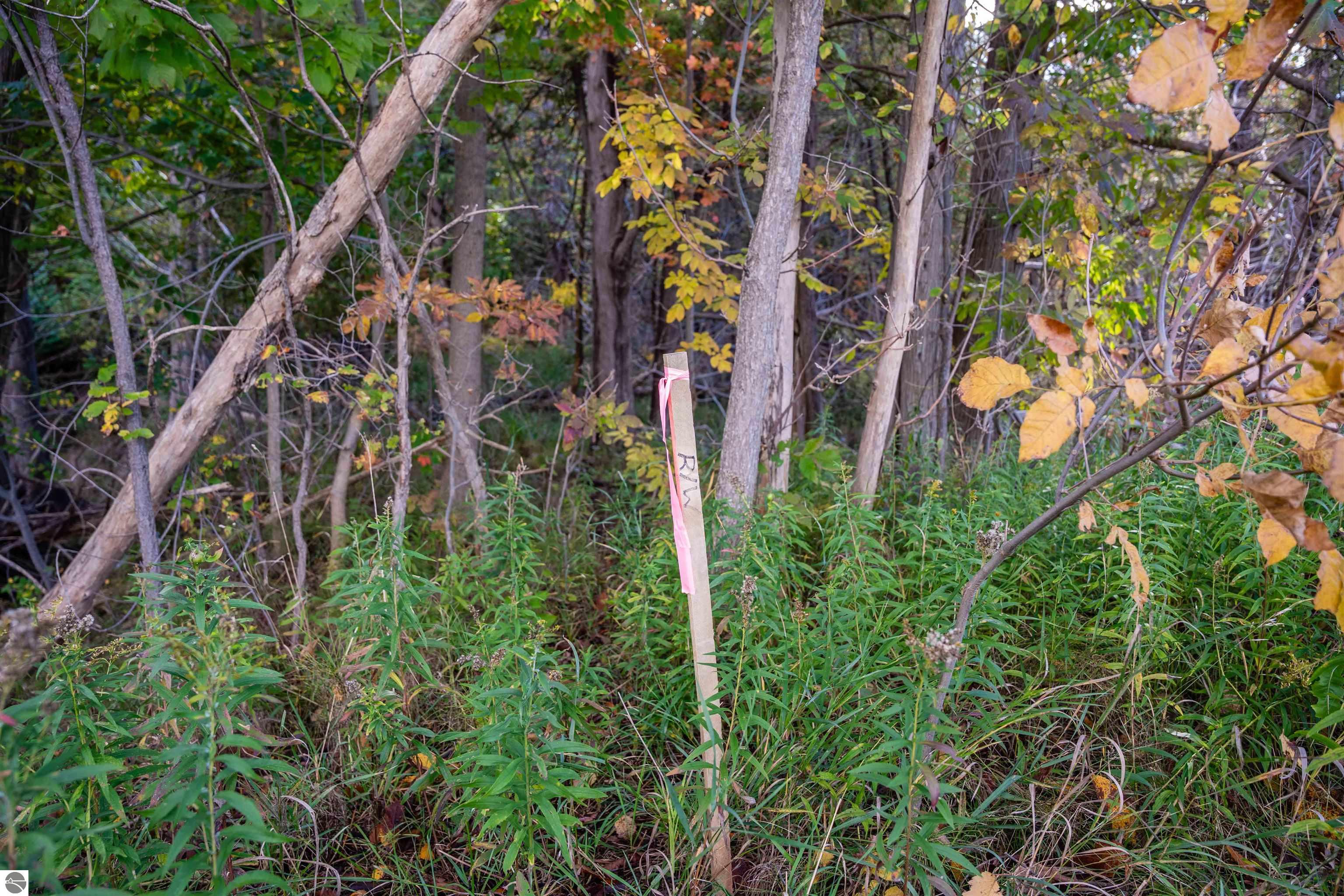 Image 84