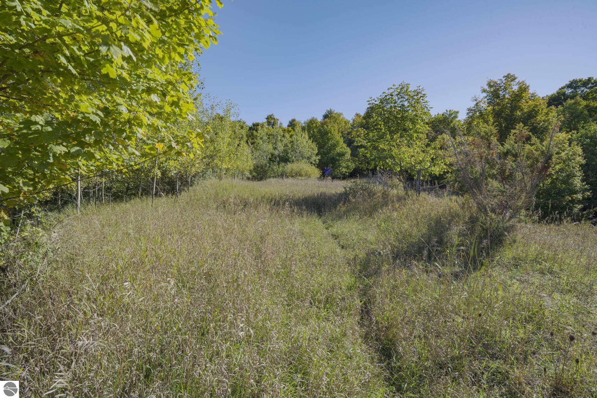 Image 20