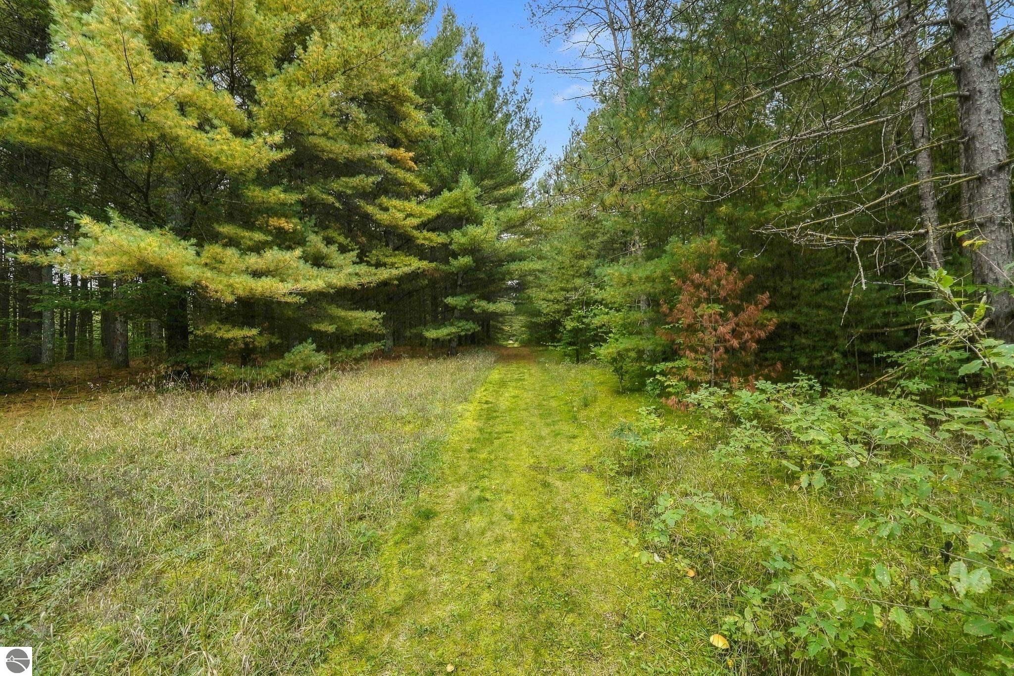 Image 62