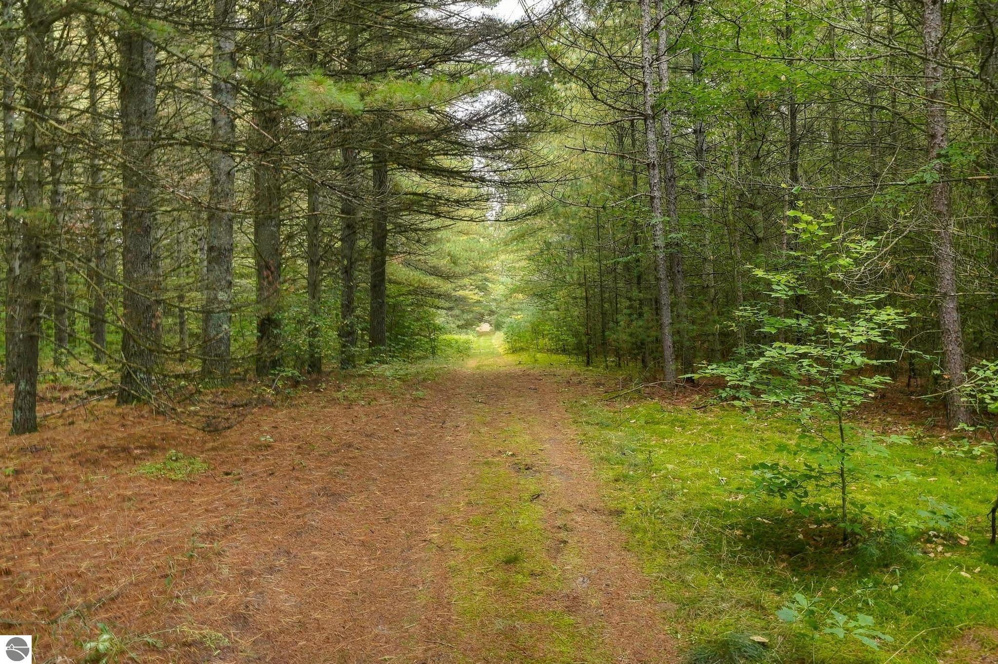 Image 63
