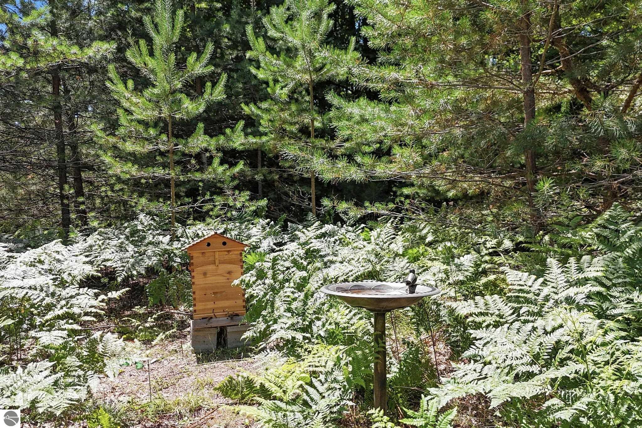 Image 18