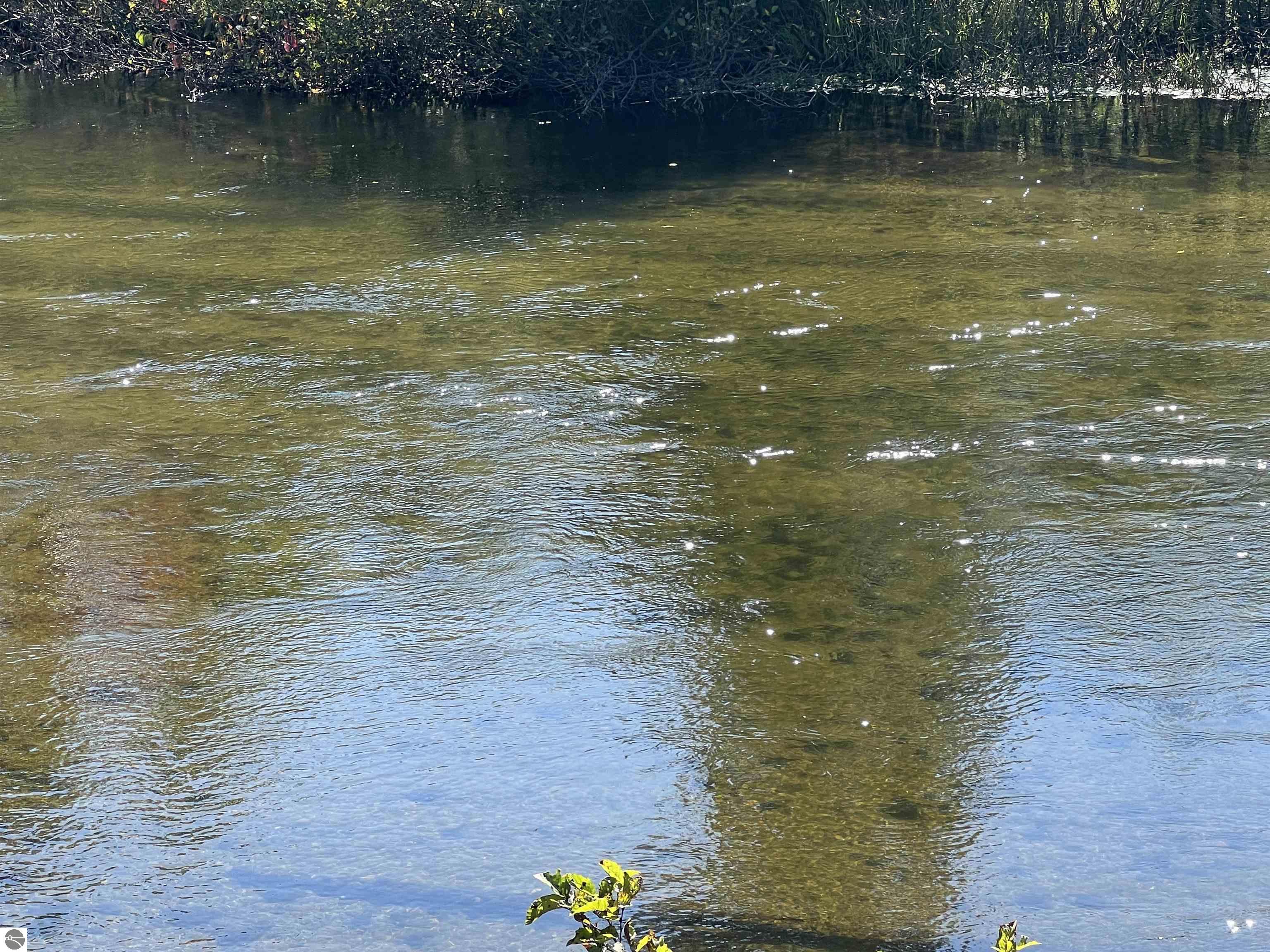 Image 13