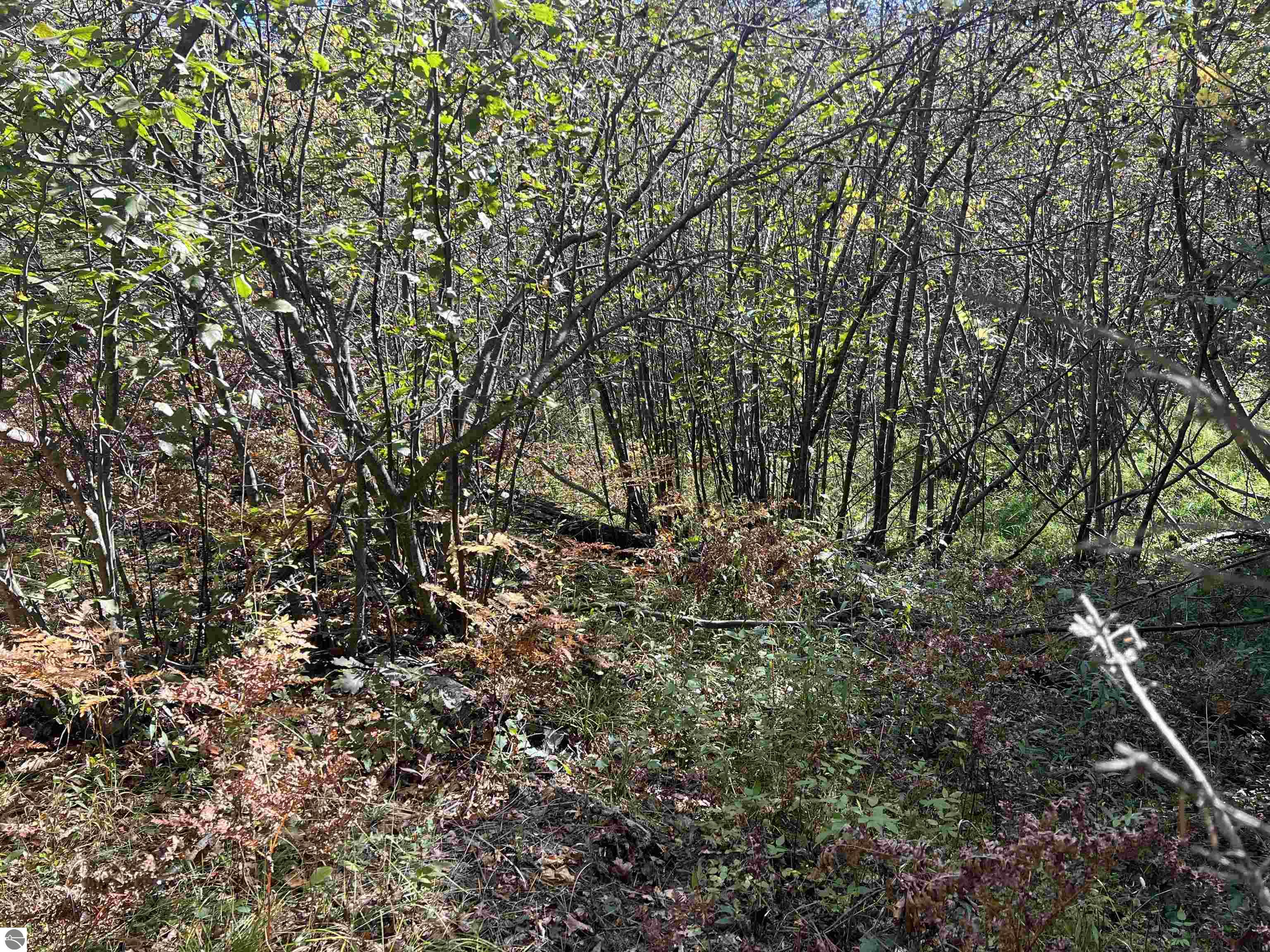 Image 63