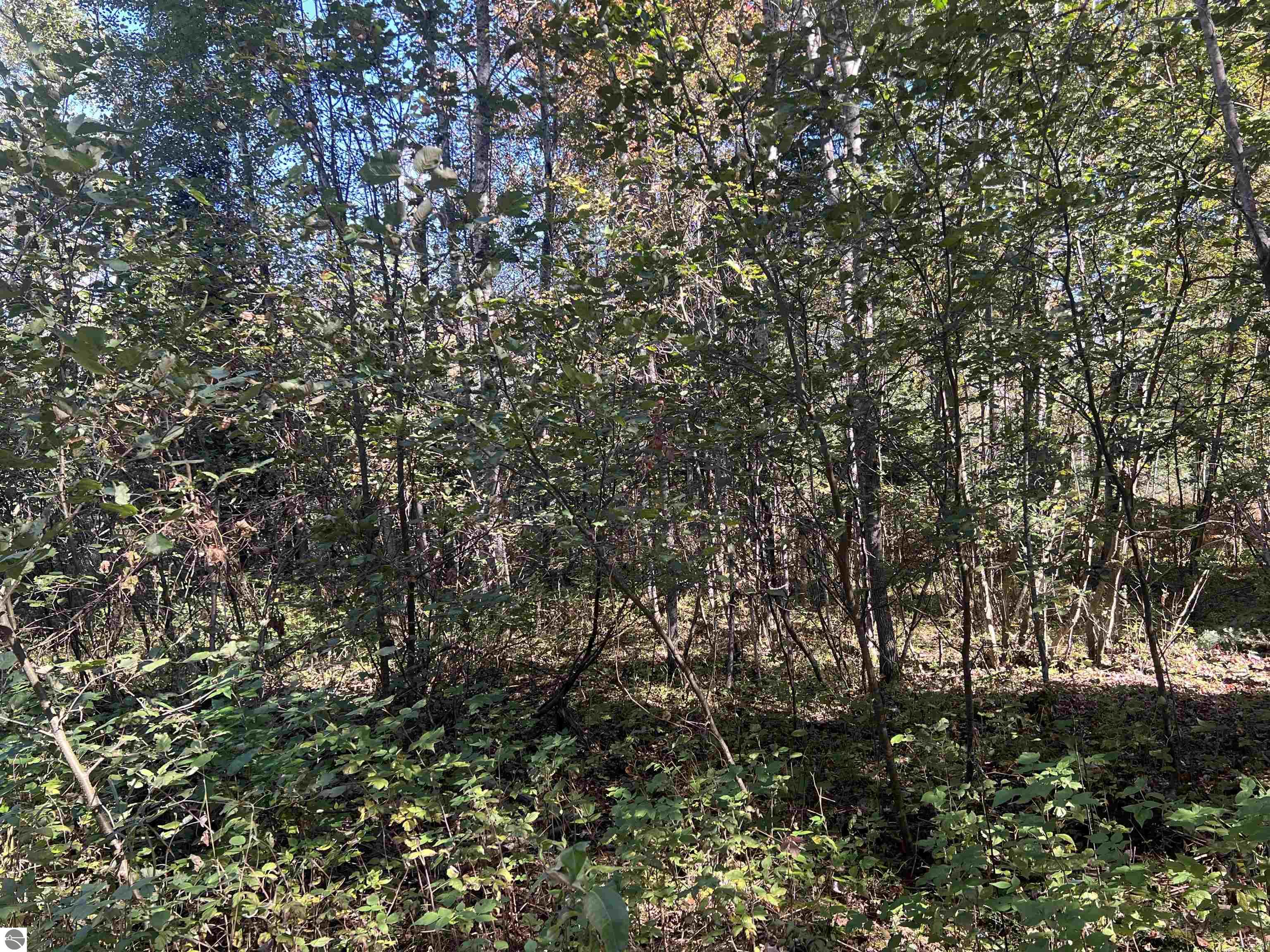 Image 84