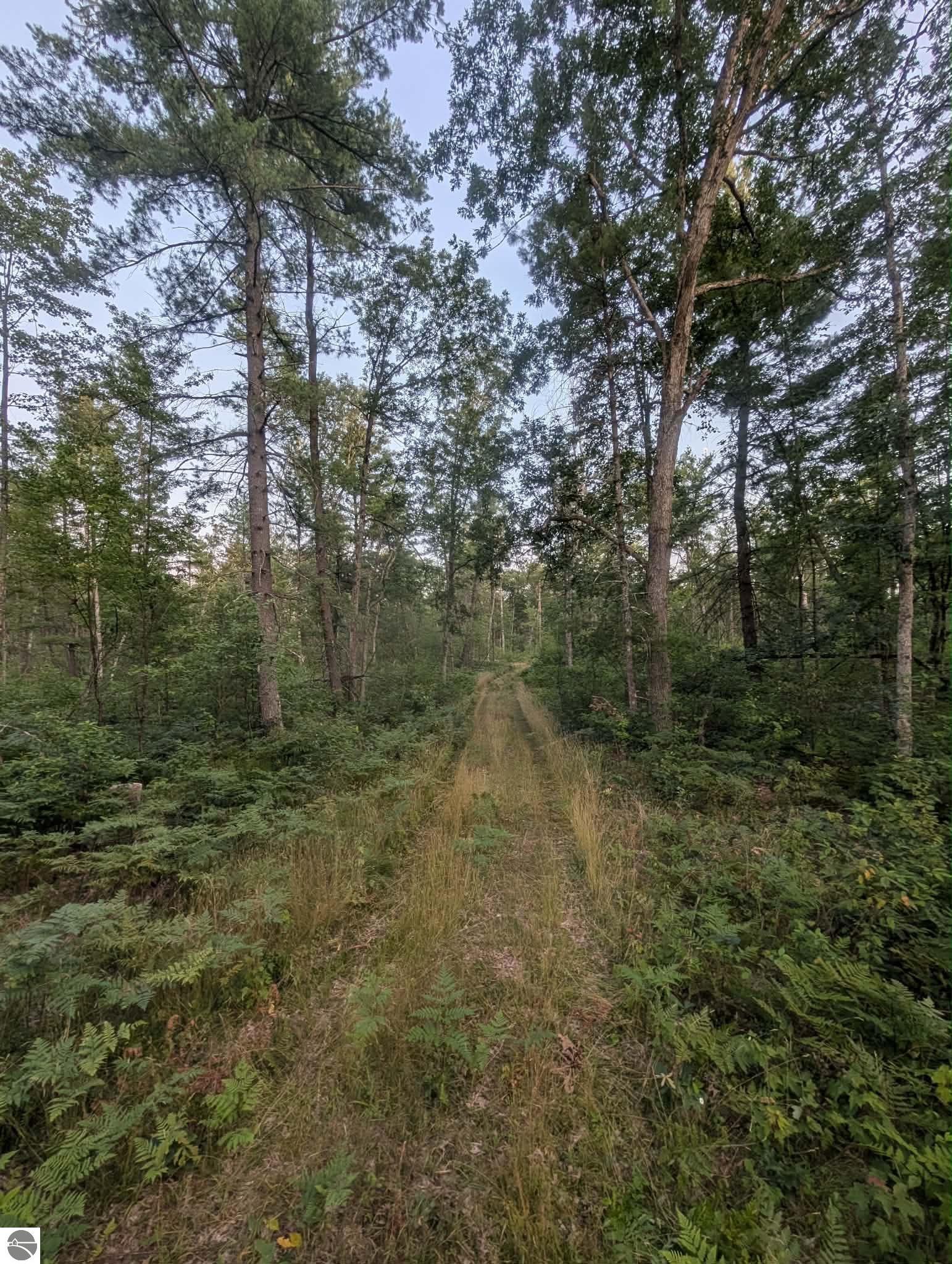 Image 12