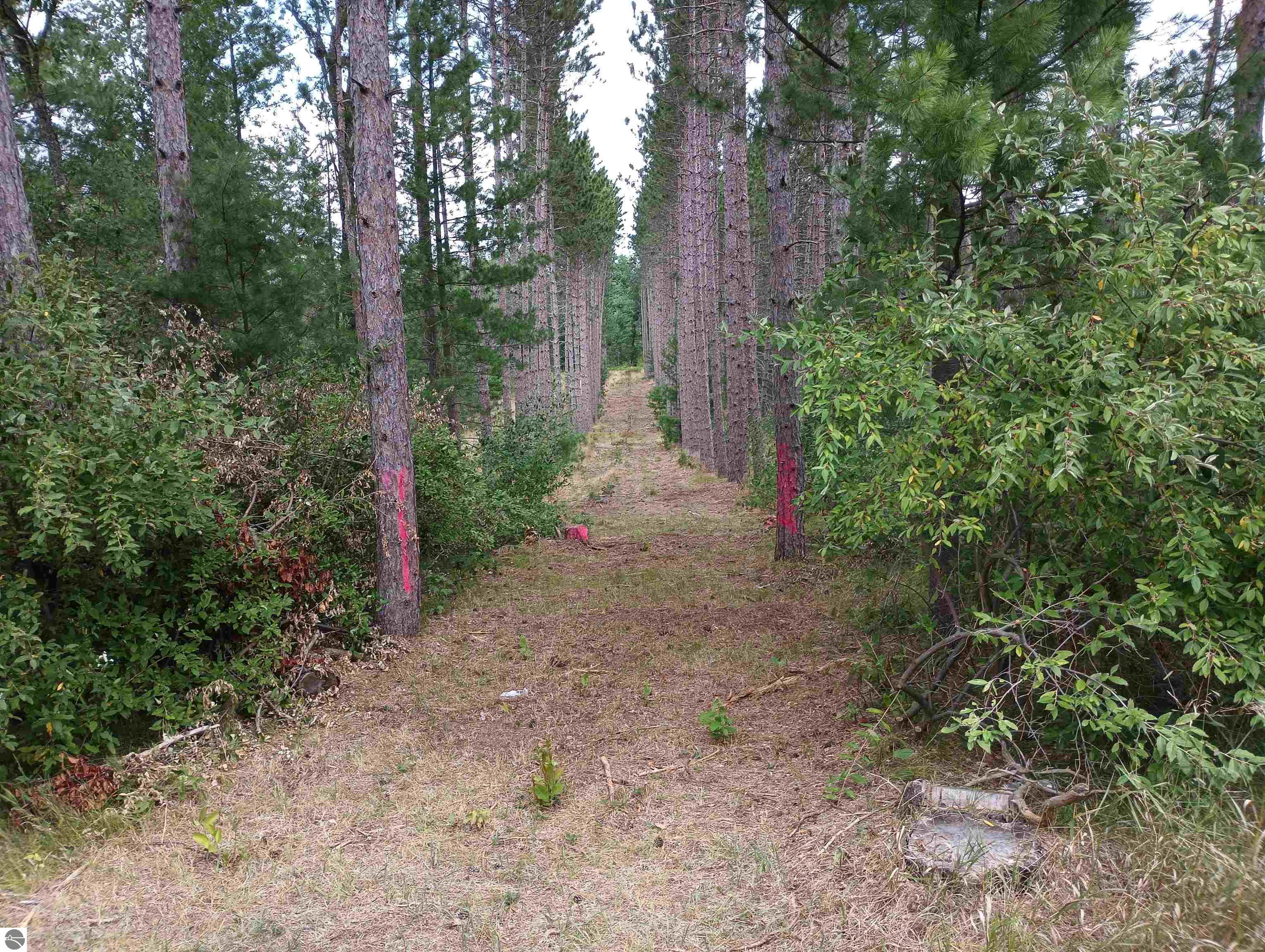Image 13