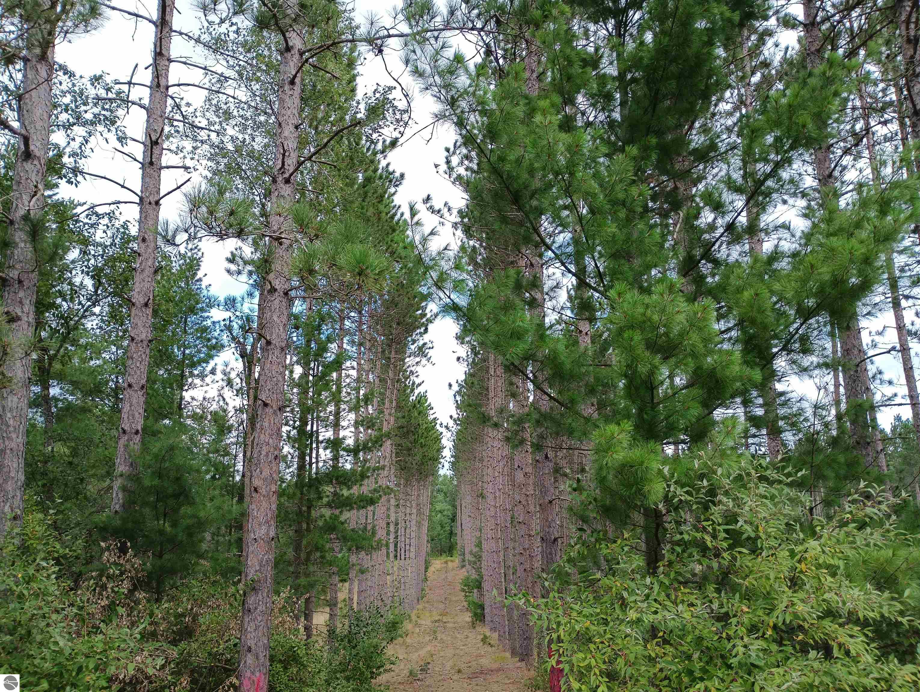 Image 14