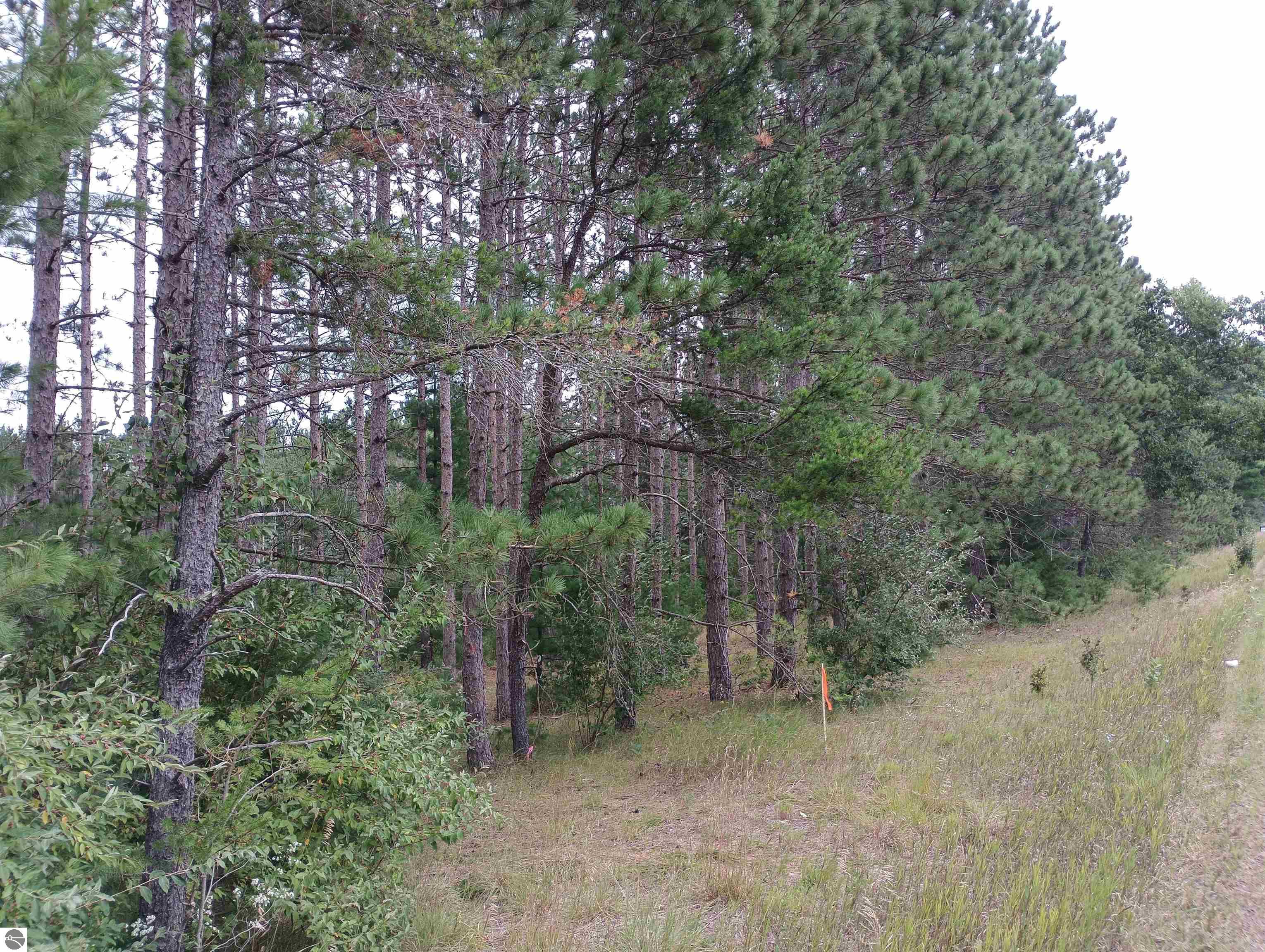 Image 15