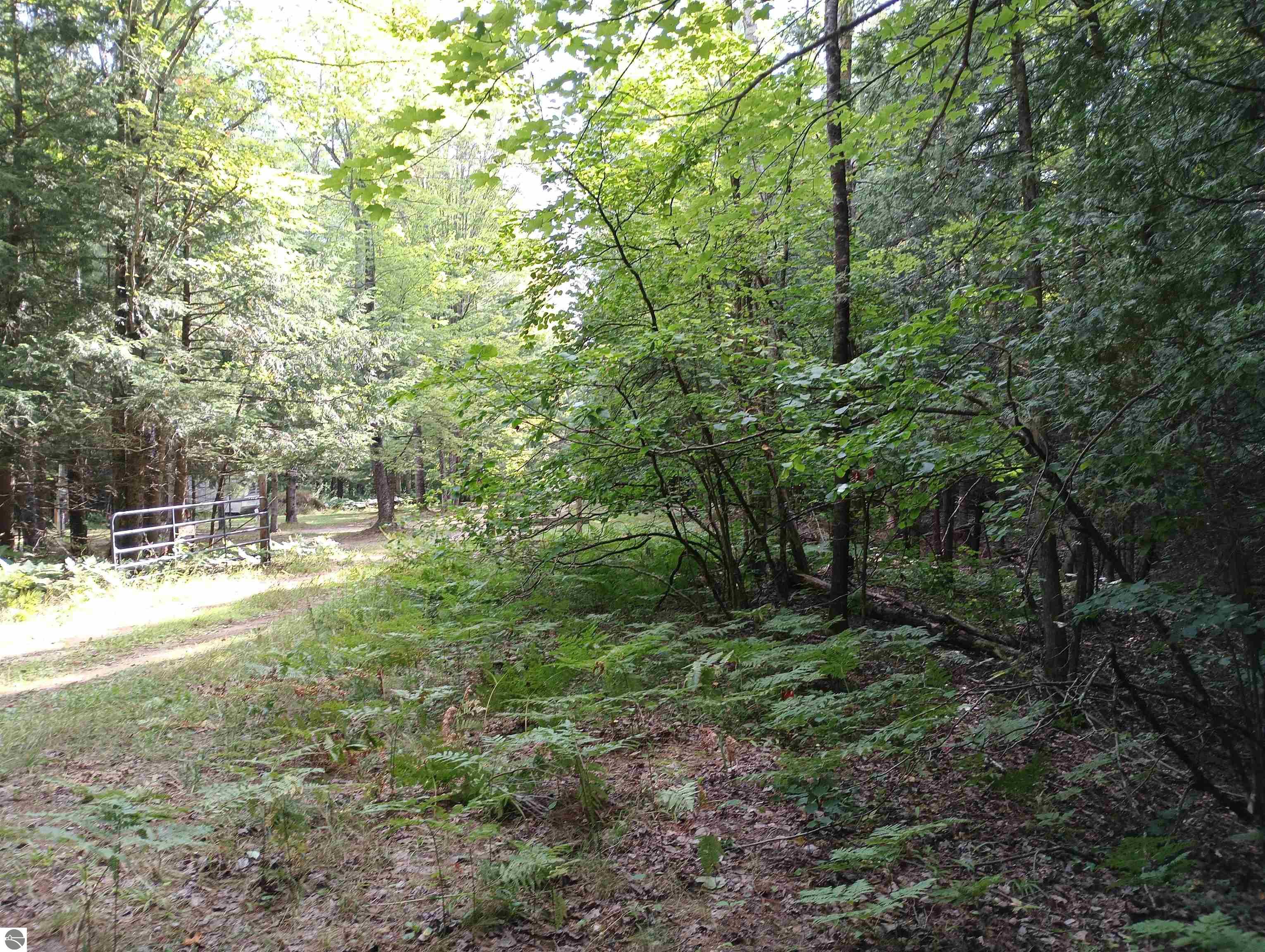 Image 16