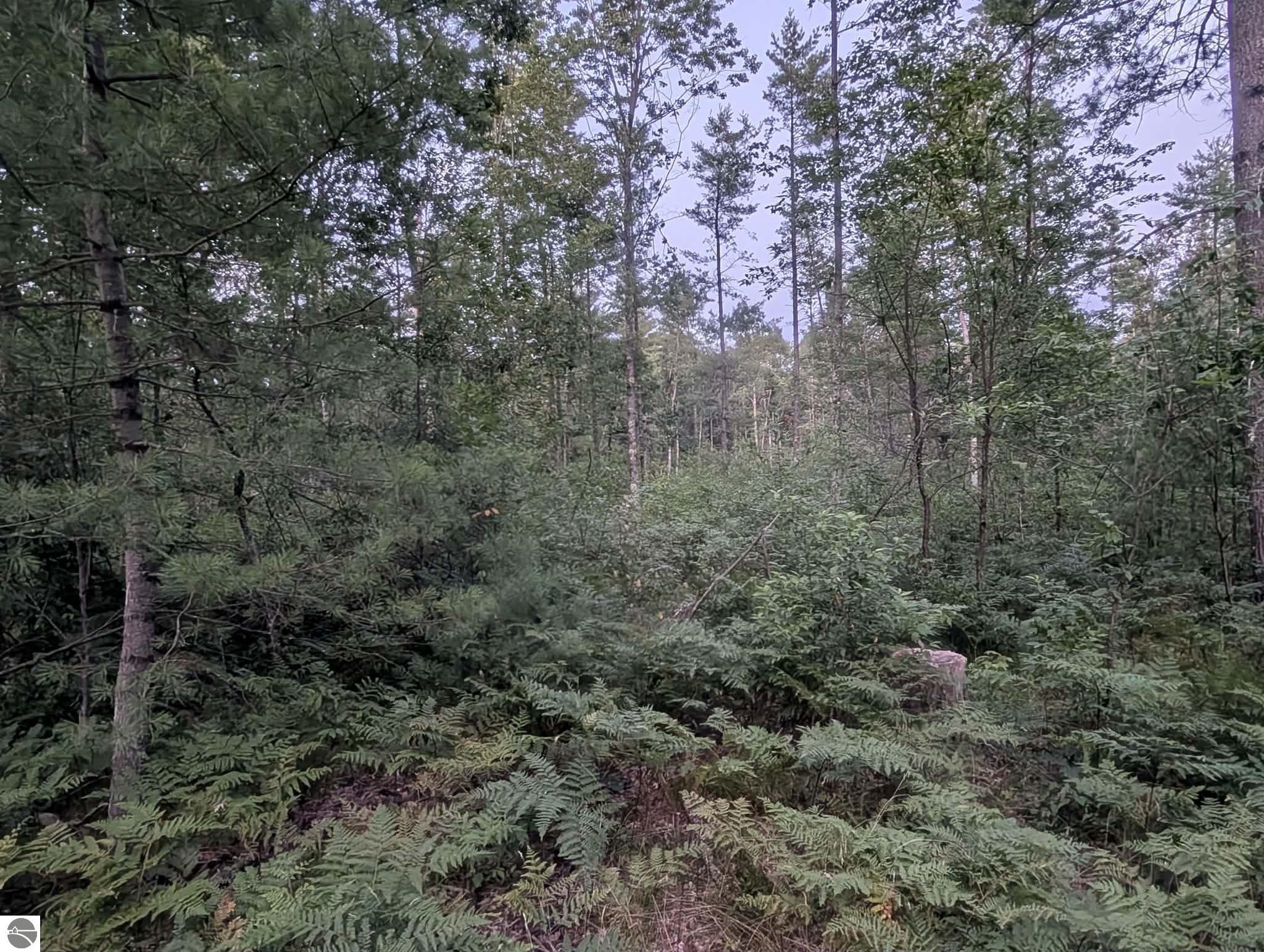 Image 8