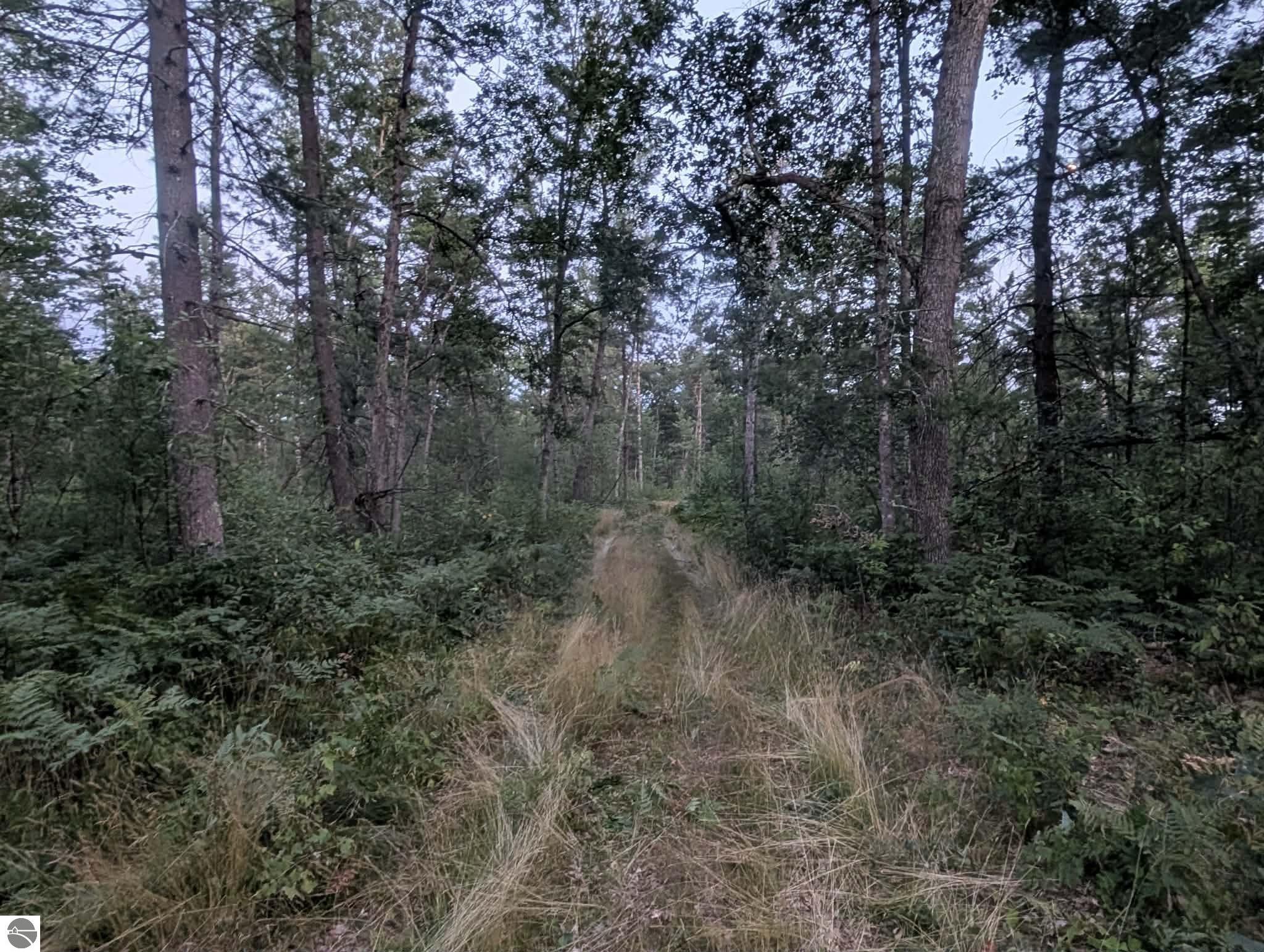 Image 9
