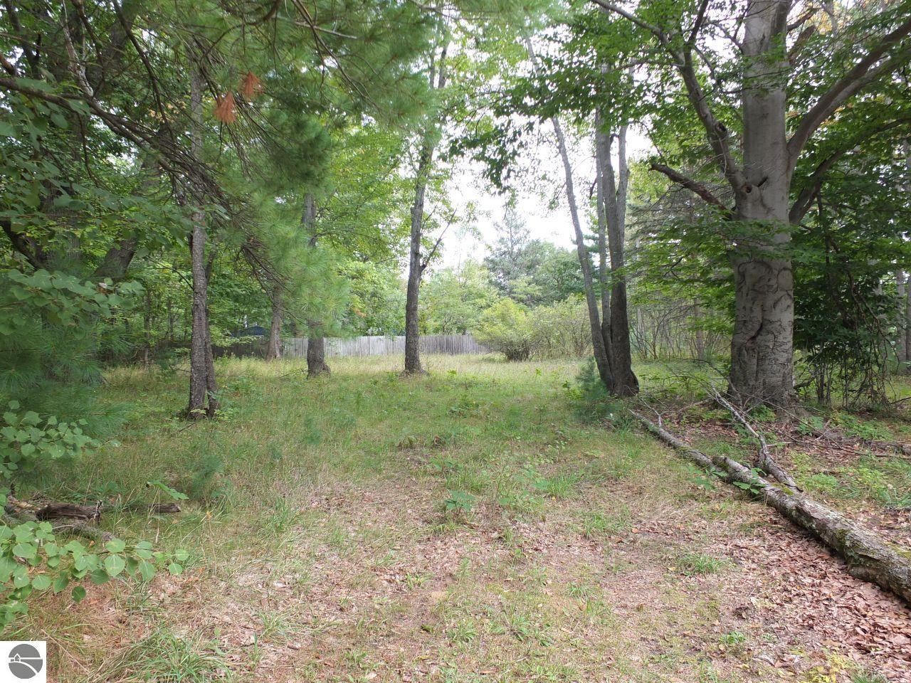 Image 30