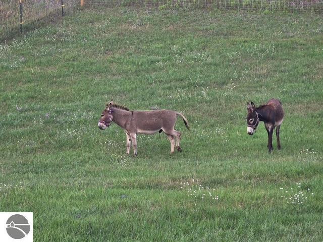 Image 64