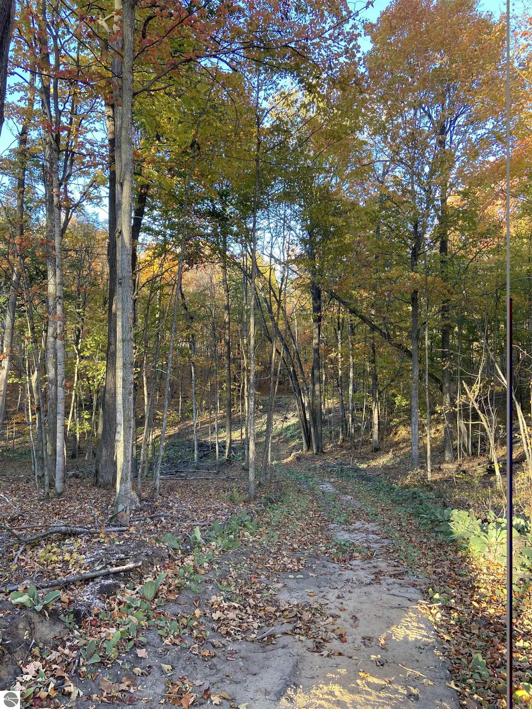 Image 14