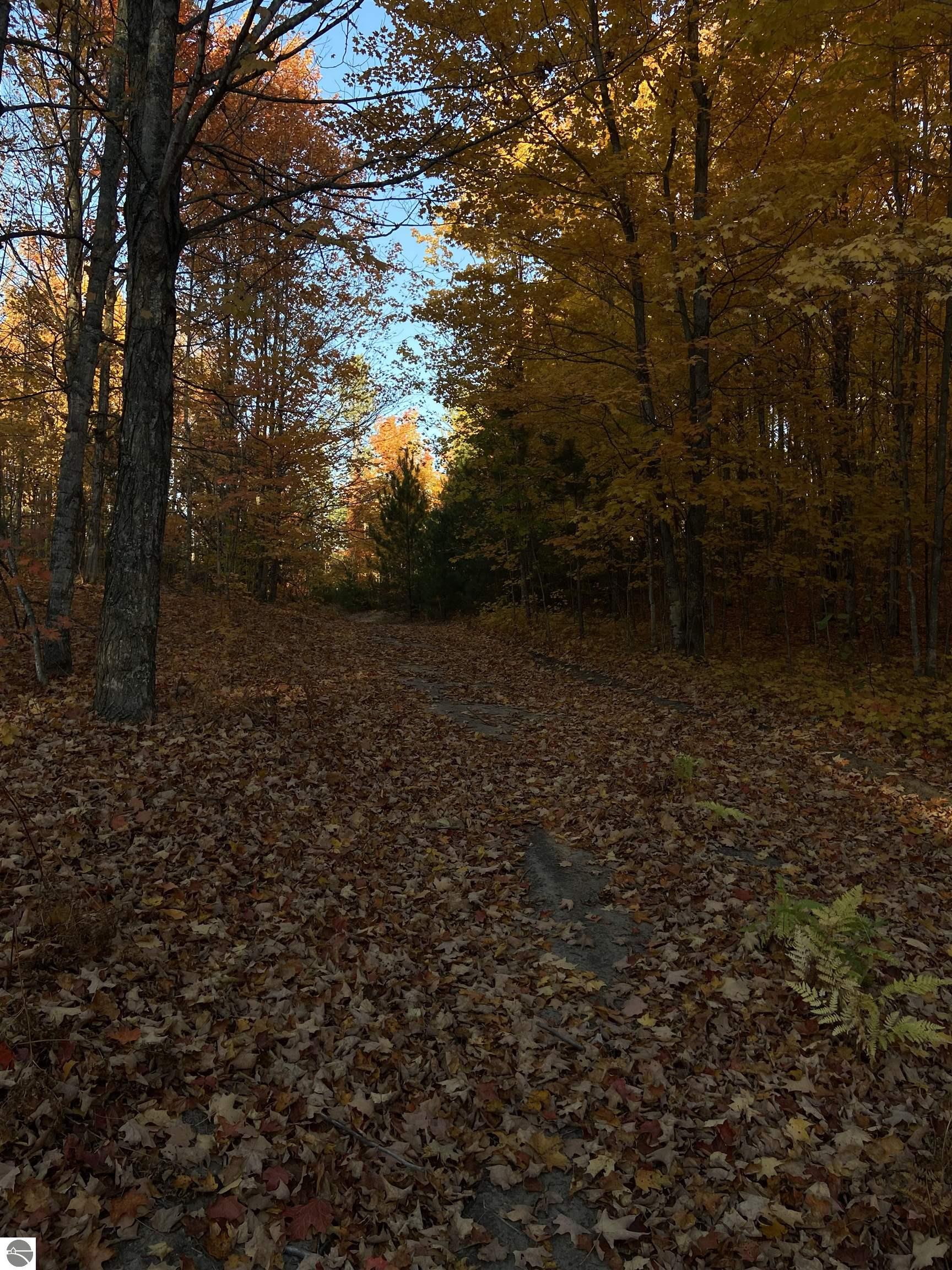 Image 15