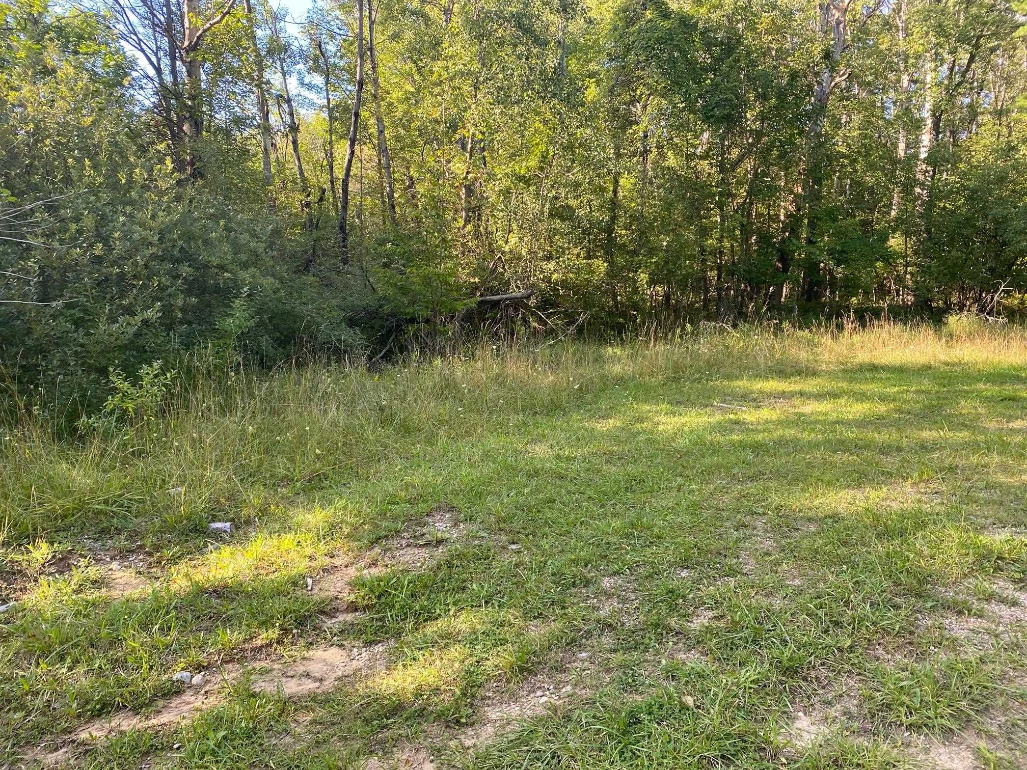 Homes for sale in Evart Township Osceola, MI | Cowlitz Cvs, Evart Township Osceola, MI 49631 | MLS# 78080000055