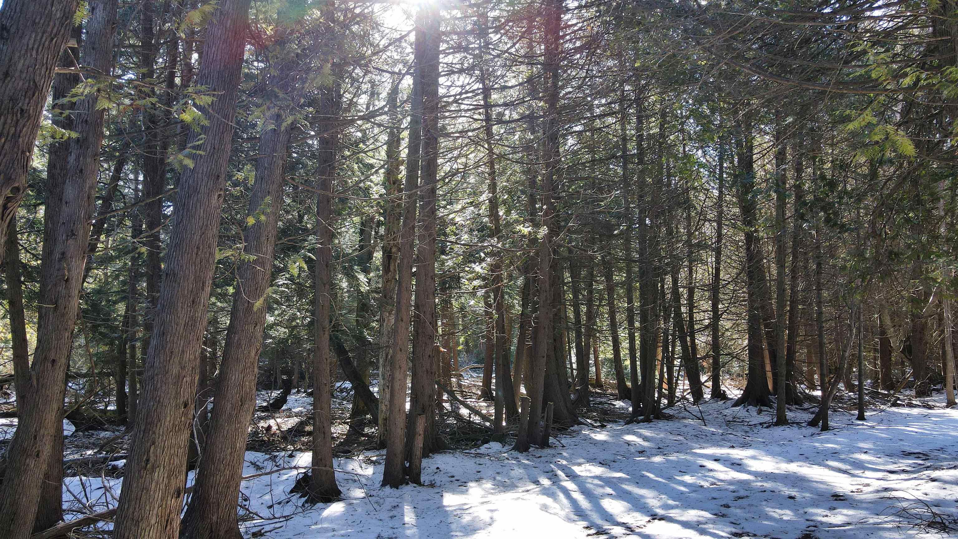 37 Acres N Cathead Bay Drive, Northport, MI, 49670