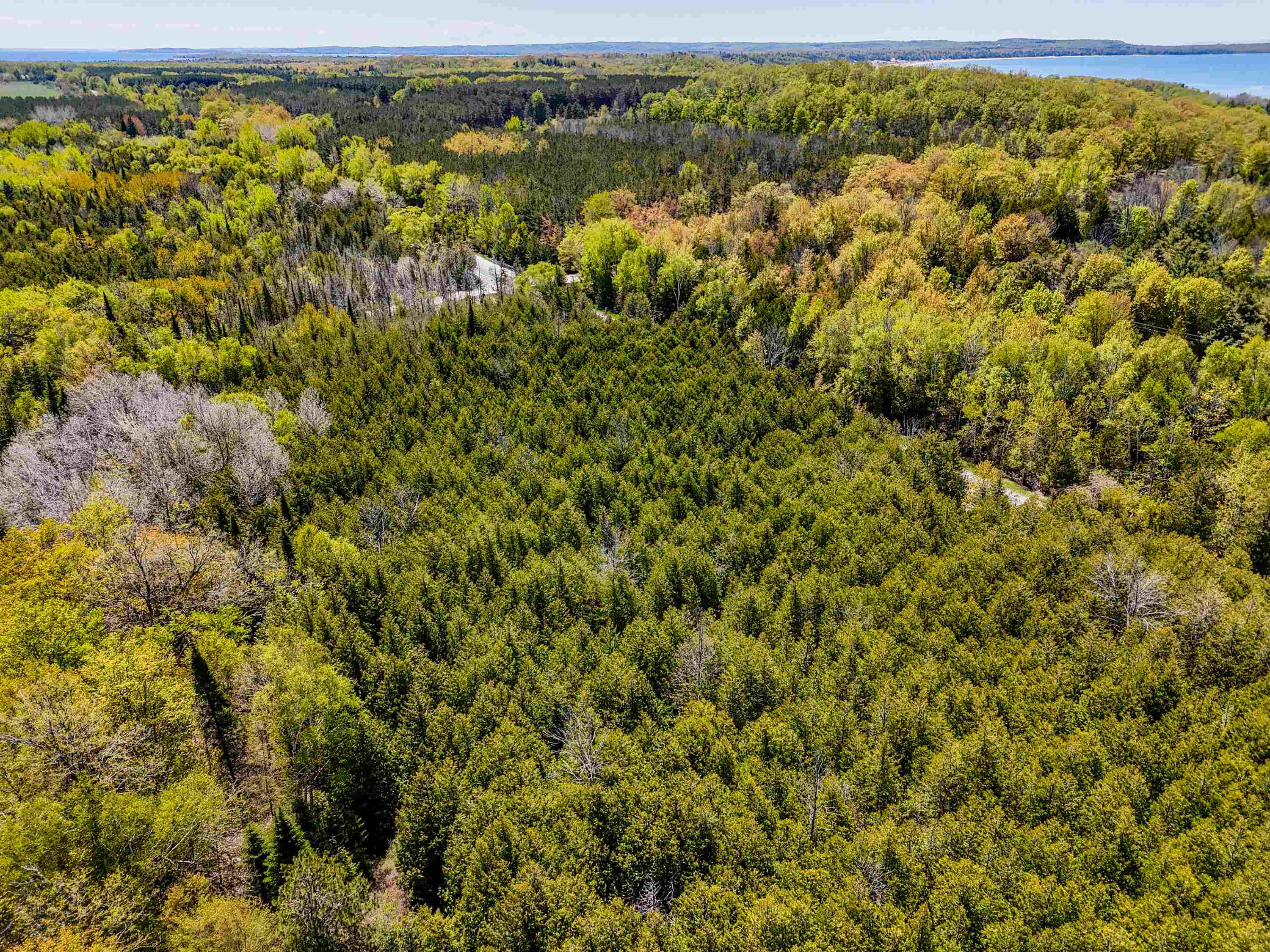 37 Acres N Cathead Bay Drive, Northport, MI, 49670