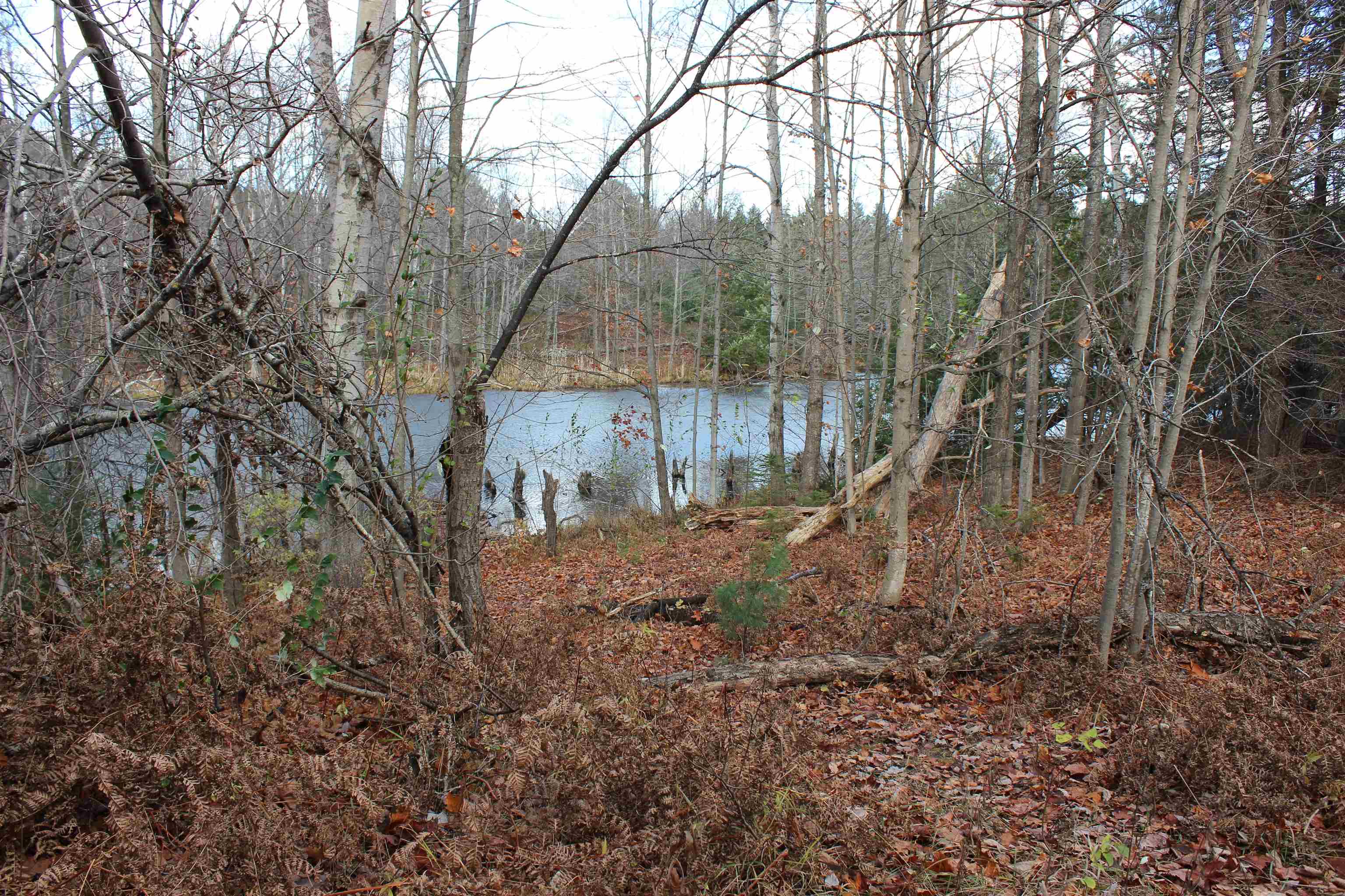 4205 E M-113, Kingsley, MI, 49649