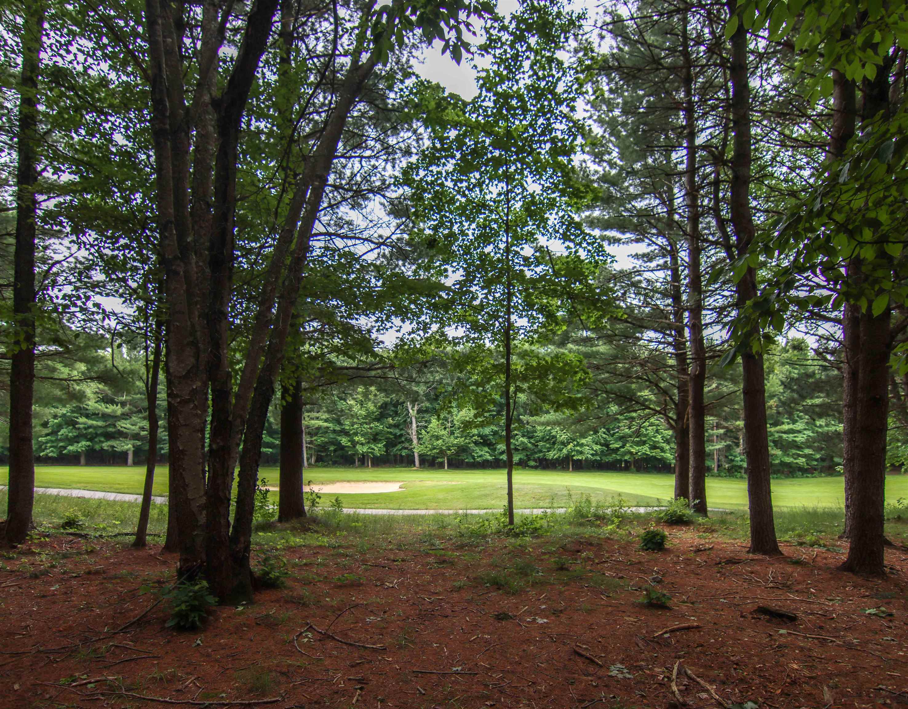 1st image of 0000 Unit 40 Trailside Dr, Thompsonville, MI 49683 | MLS# 78080047868