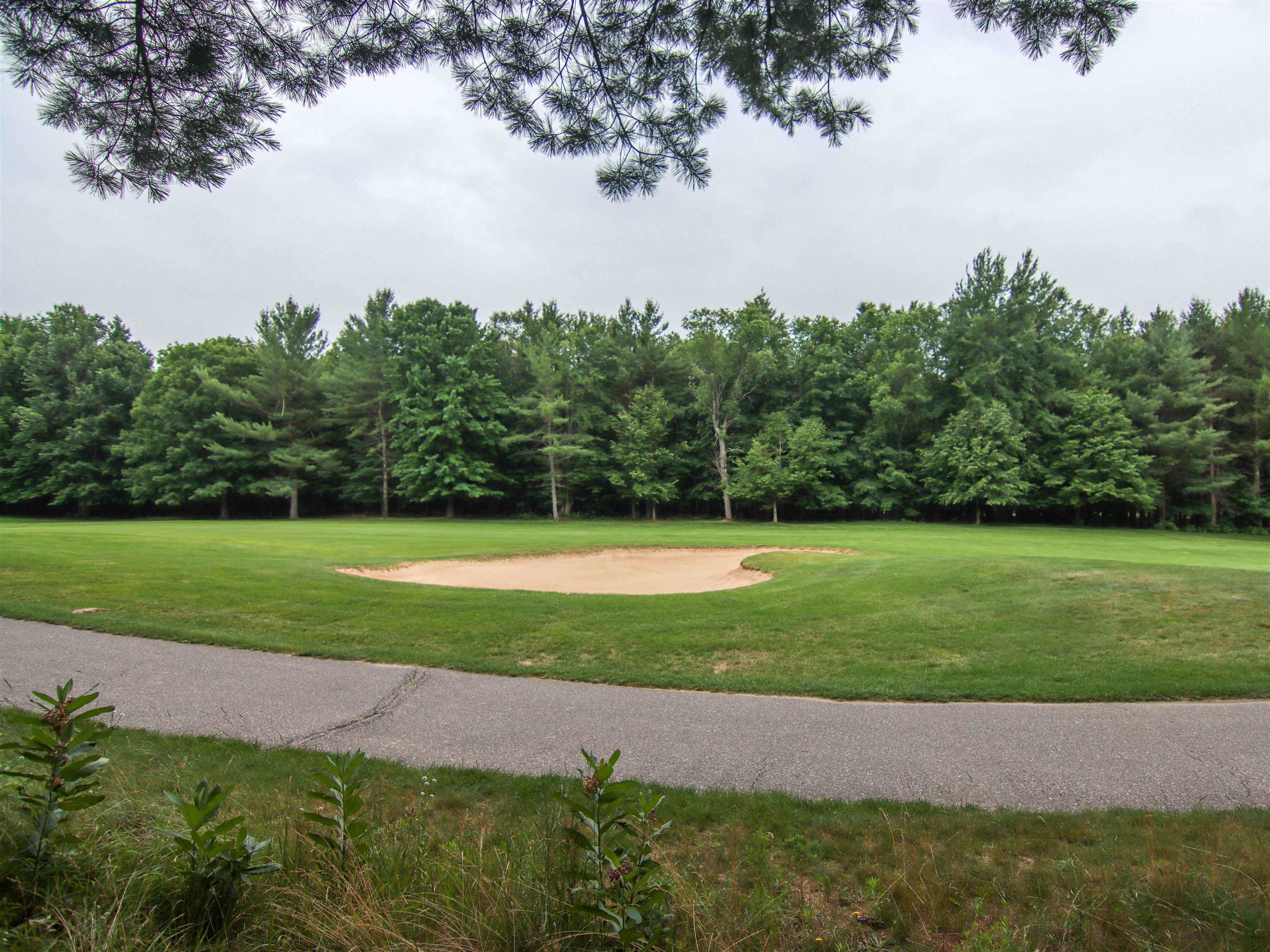 2nd image of 0000 Unit 40 Trailside Dr, Thompsonville, MI 49683 | MLS# 78080047868