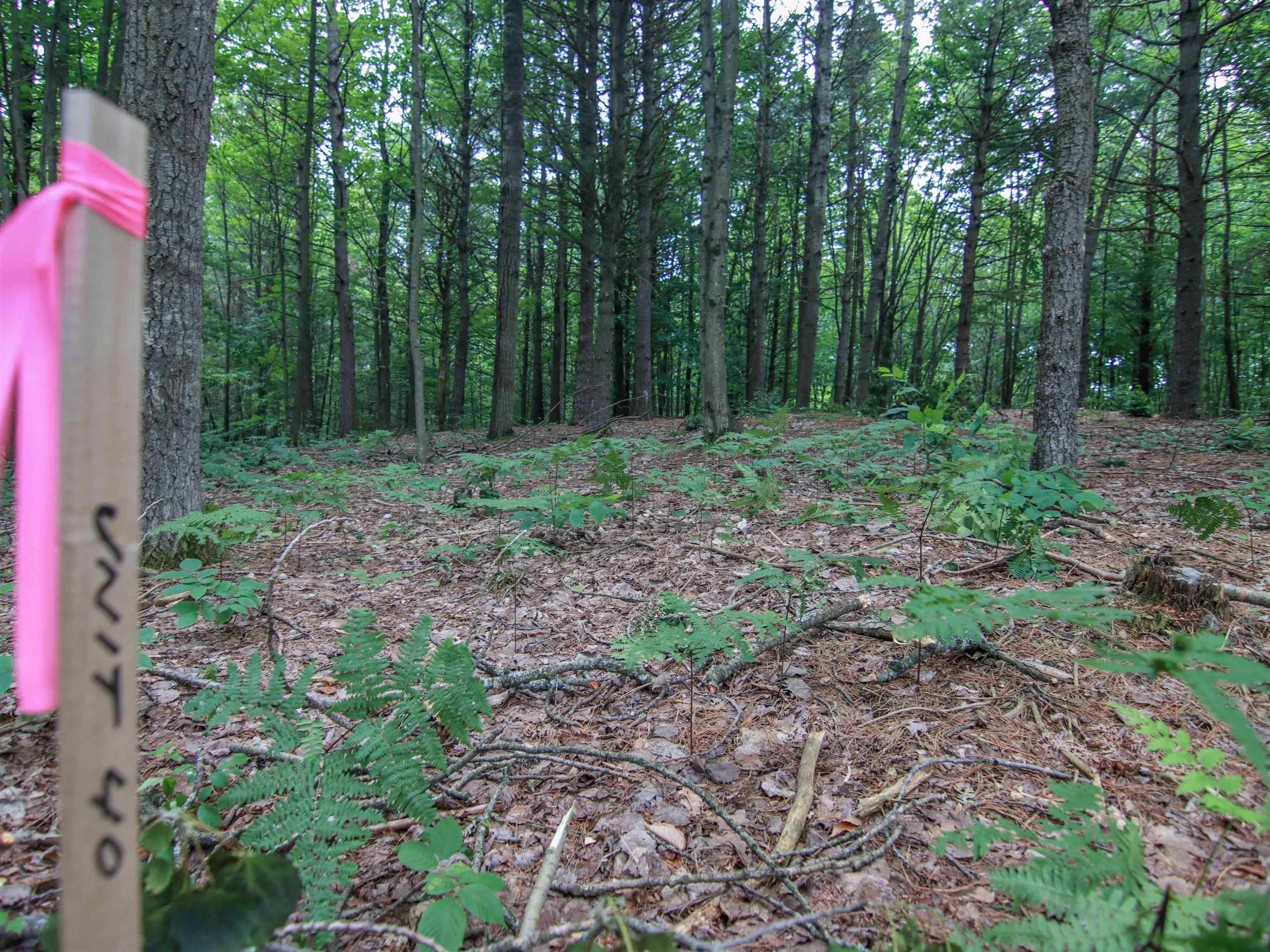 3rd image of 0000-Unit 40 Trailside Dr, Thompsonville, MI 49683 | MLS# 78080047868