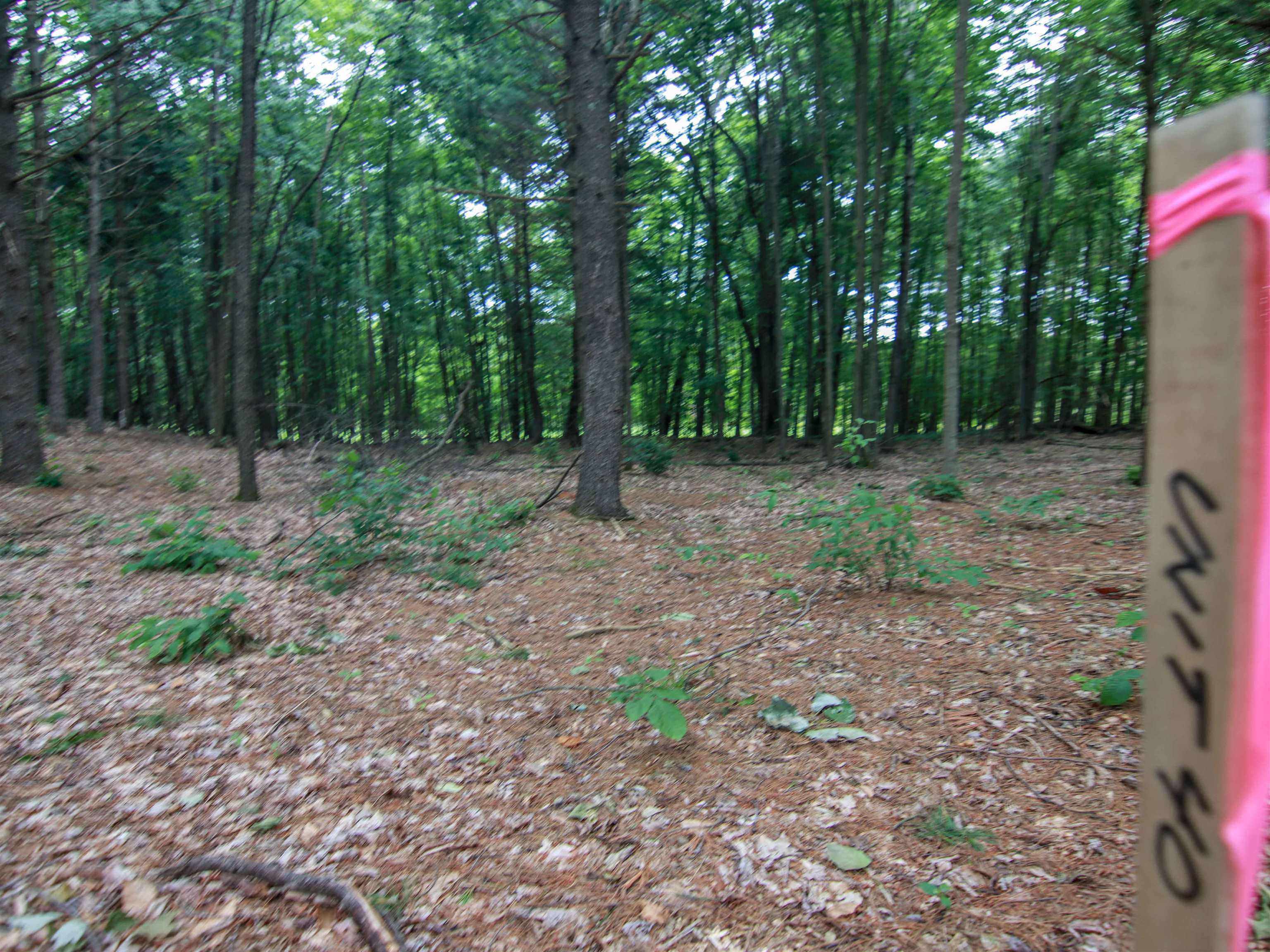 4th image of 0000-Unit 40 Trailside Dr, Thompsonville, MI 49683 | MLS# 78080047868