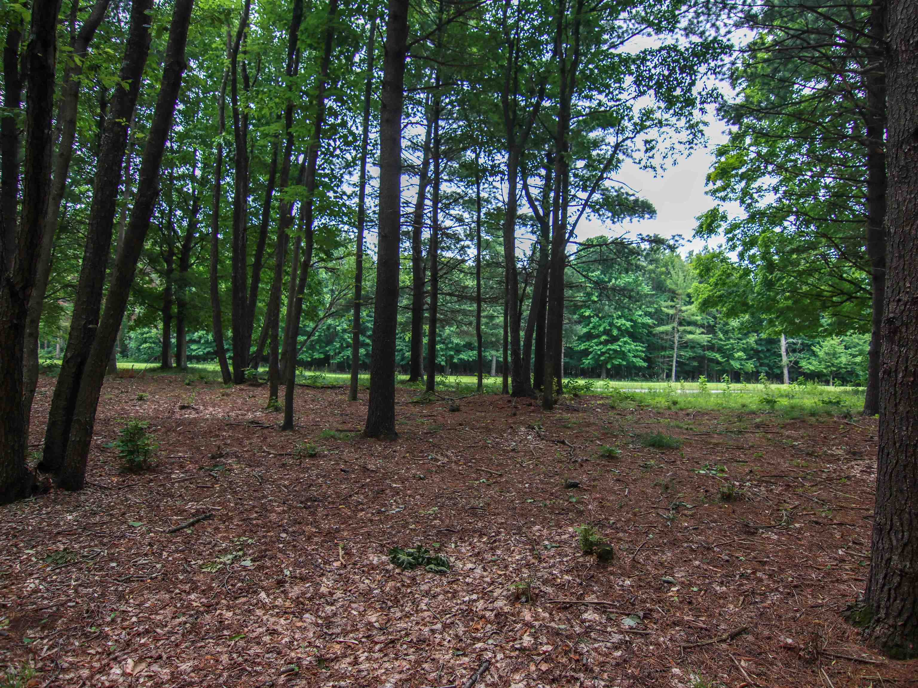 1st image of 0000 Unit 41 Trailside Dr, Thompsonville, MI 49683 | MLS# 78080047869