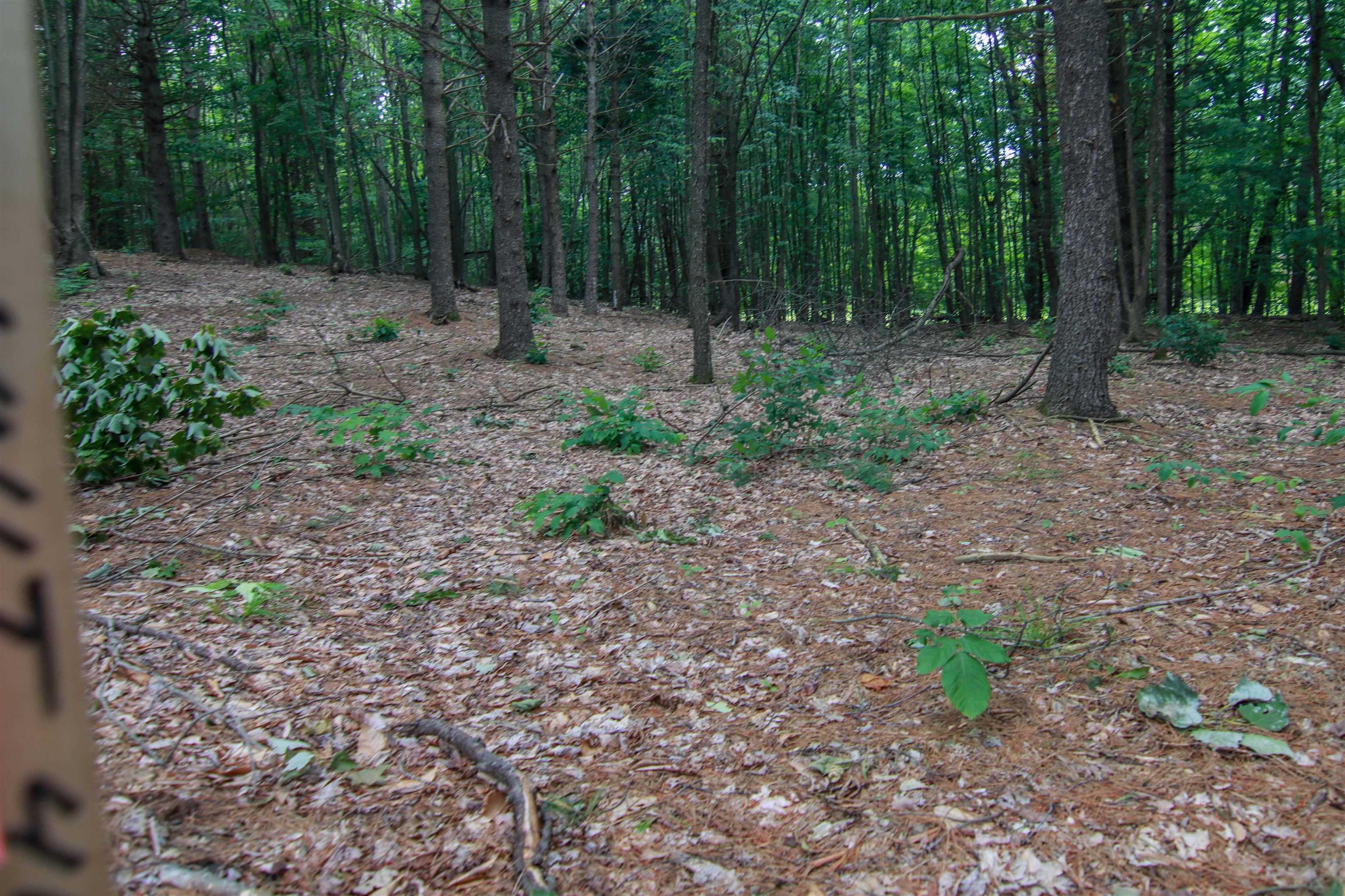 4th image of 0000-Unit 41 Trailside Dr, Thompsonville, MI 49683 | MLS# 78080047869