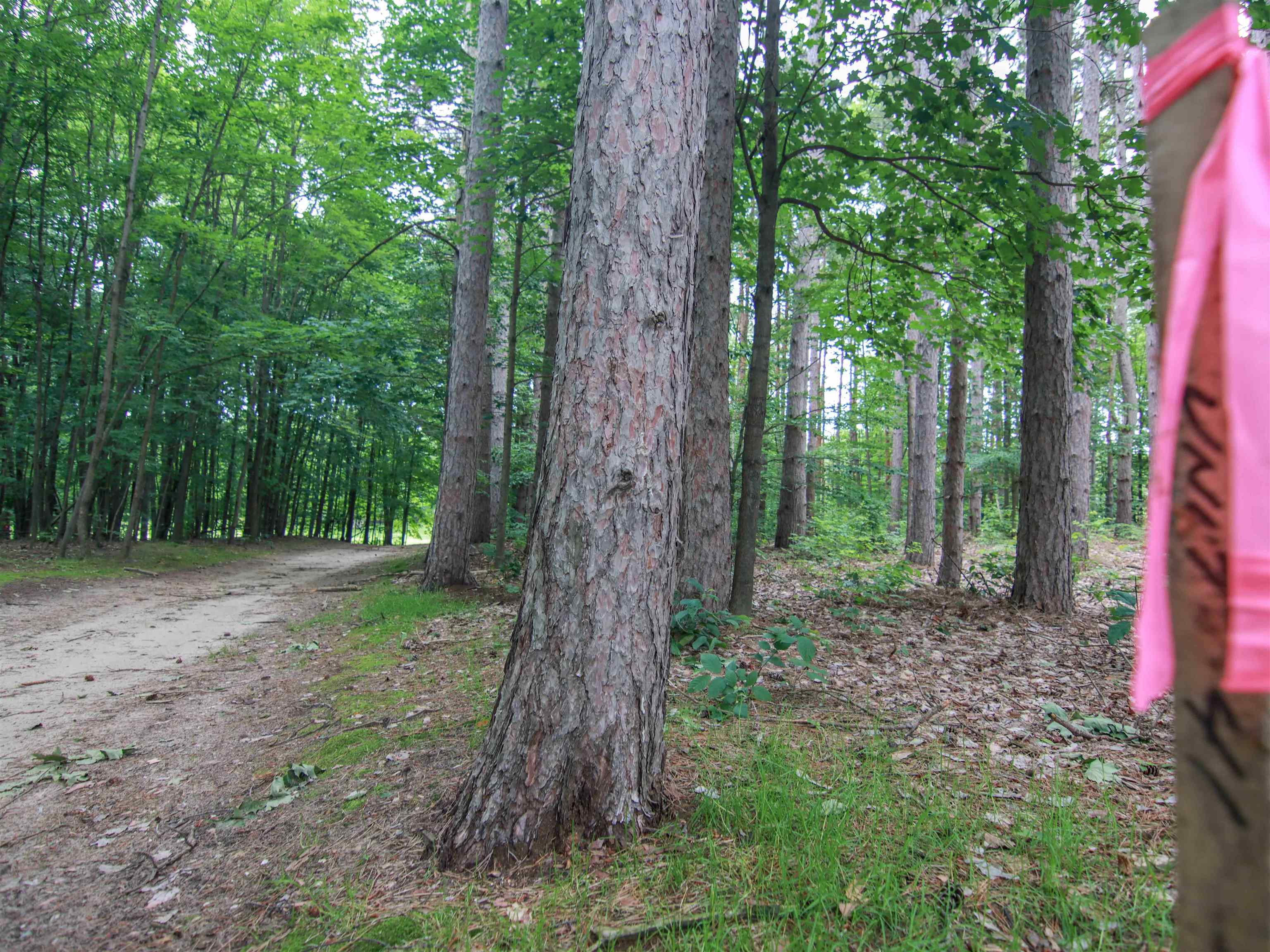 5th image of 0000-Unit 41 Trailside Dr, Thompsonville, MI 49683 | MLS# 78080047869
