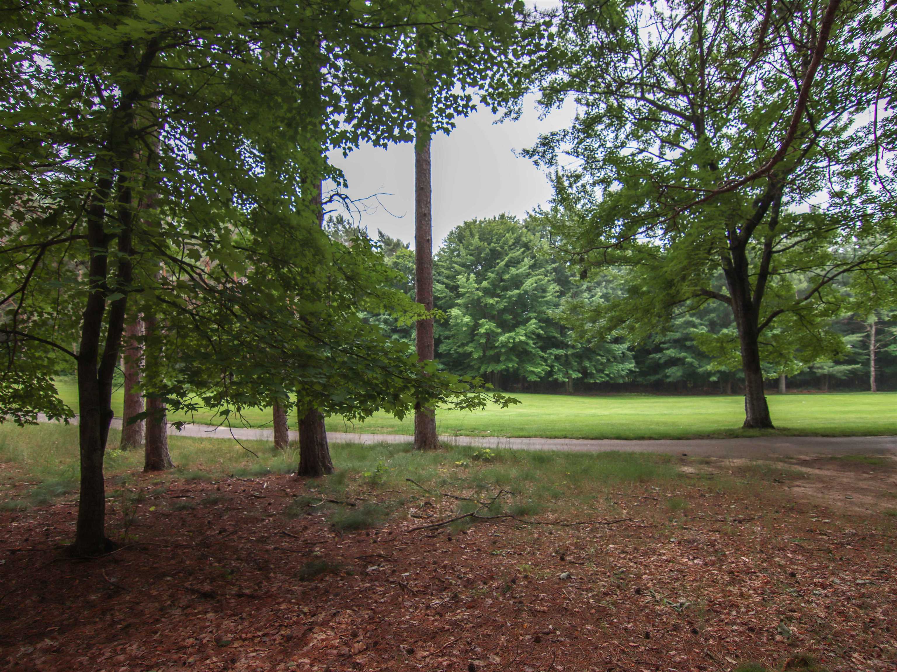 1st image of 0000 Unit 42 Trailside Dr, Thompsonville, MI 49683 | MLS# 78080047870