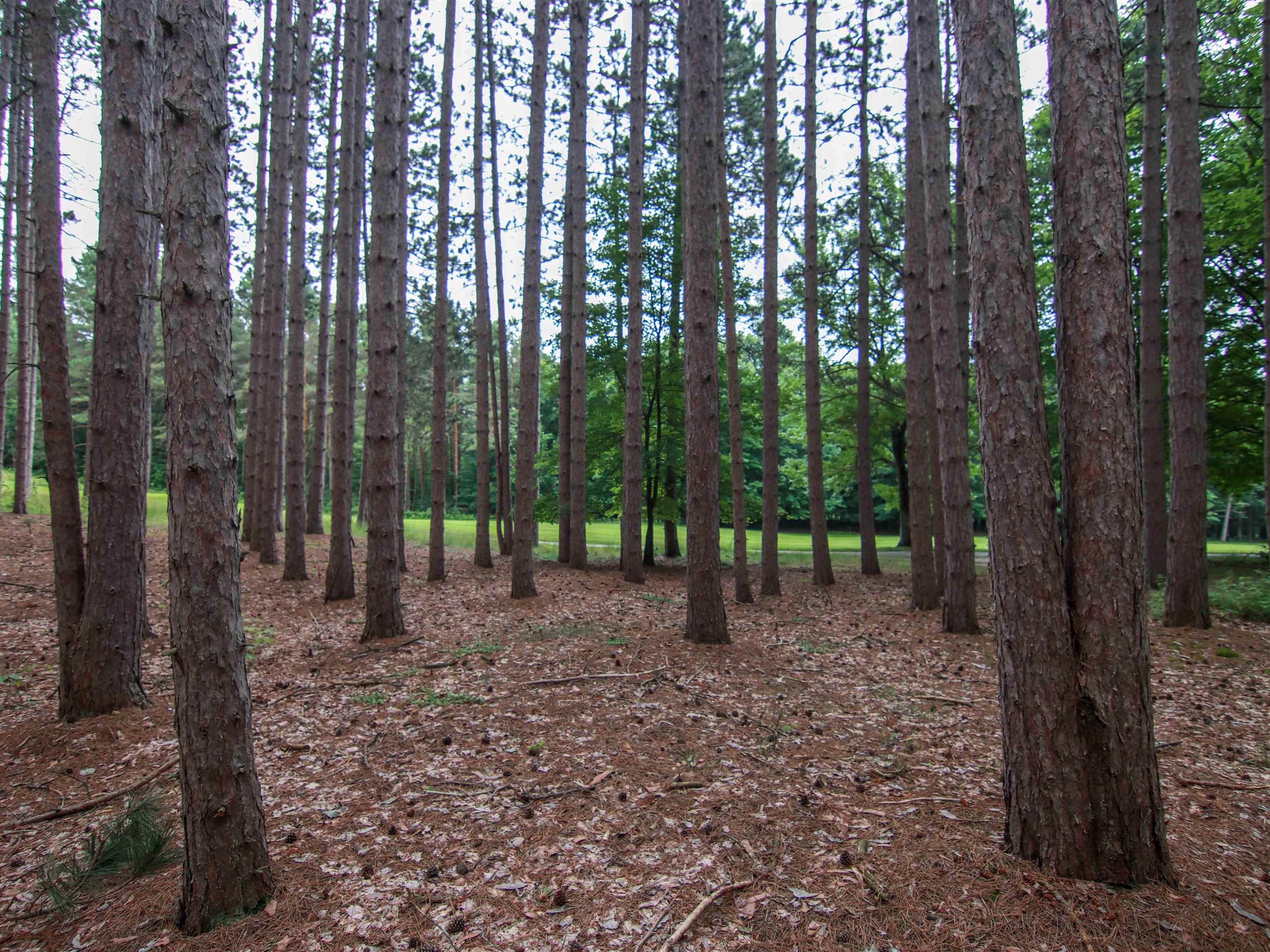 3rd image of 0000-Unit 42 Trailside Dr, Thompsonville, MI 49683 | MLS# 78080047870