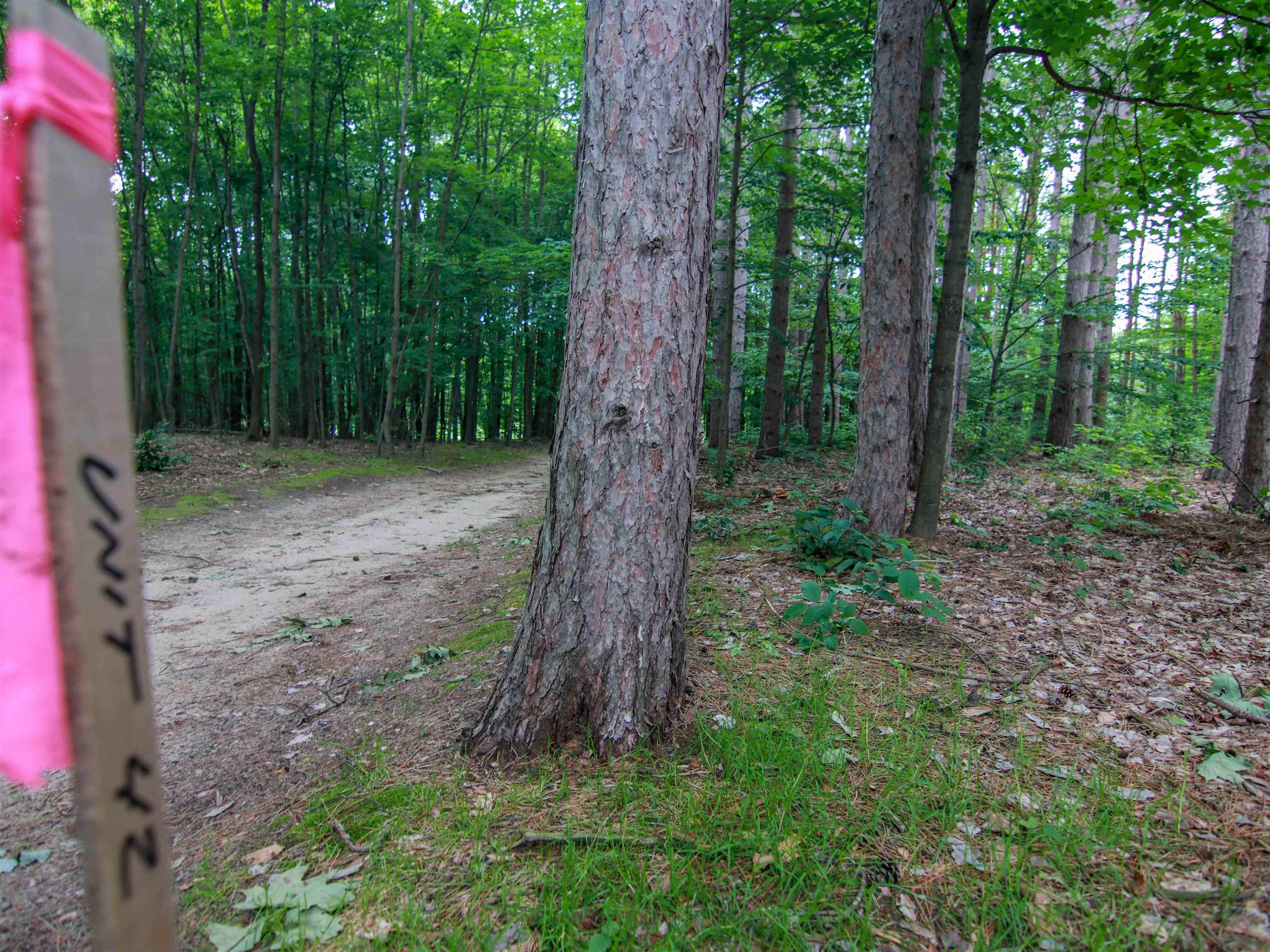 4th image of 0000-Unit 42 Trailside Dr, Thompsonville, MI 49683 | MLS# 78080047870