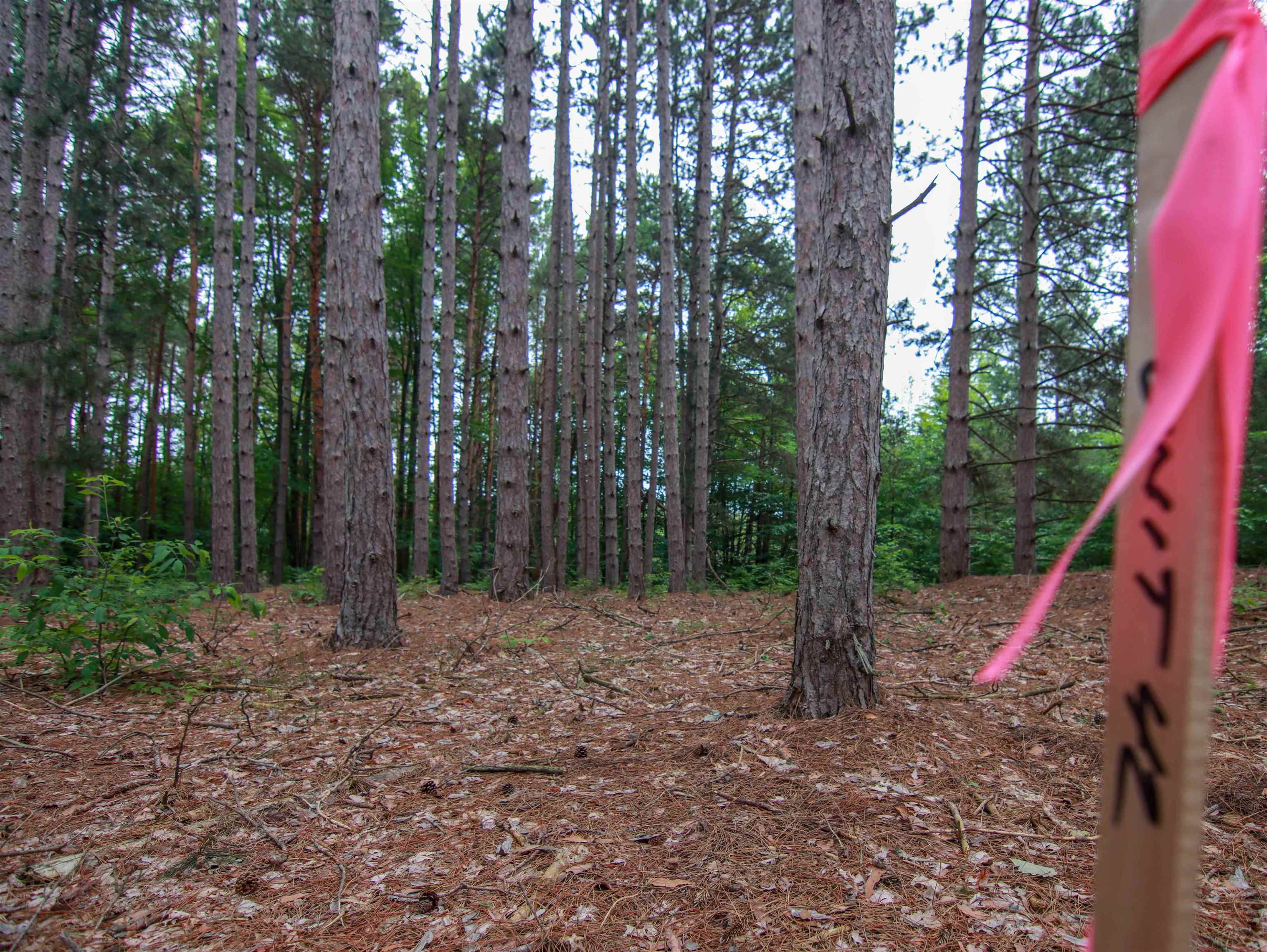 5th image of 0000-Unit 42 Trailside Dr, Thompsonville, MI 49683 | MLS# 78080047870