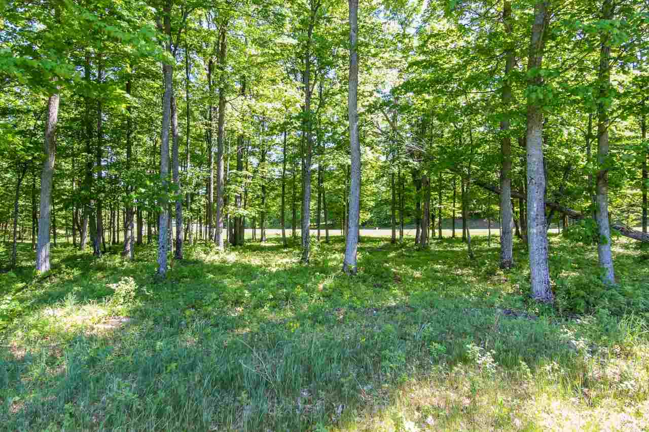 Photo 3 of Land for sale at 003 Heather Ridge Trl, Beulah, MI 49617 | MLS# 78080051318 | Listing updated on 2026-10-01