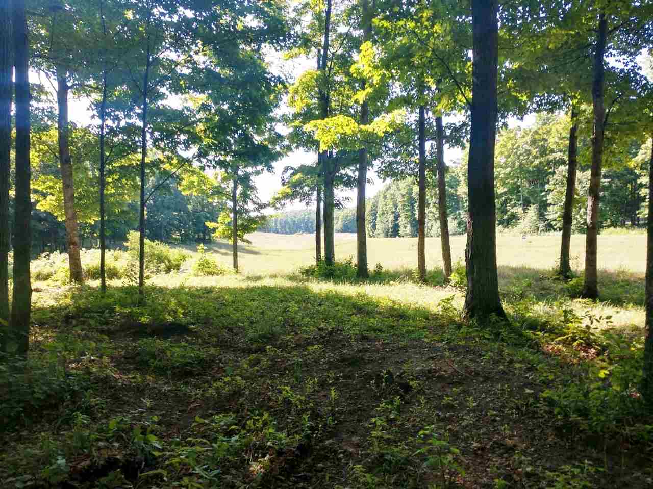 Photo 3 of Land for sale at 004 Heather Ridge Trl, Beulah, MI 49617 | MLS# 78080051322 | Listing updated on 2026-10-01