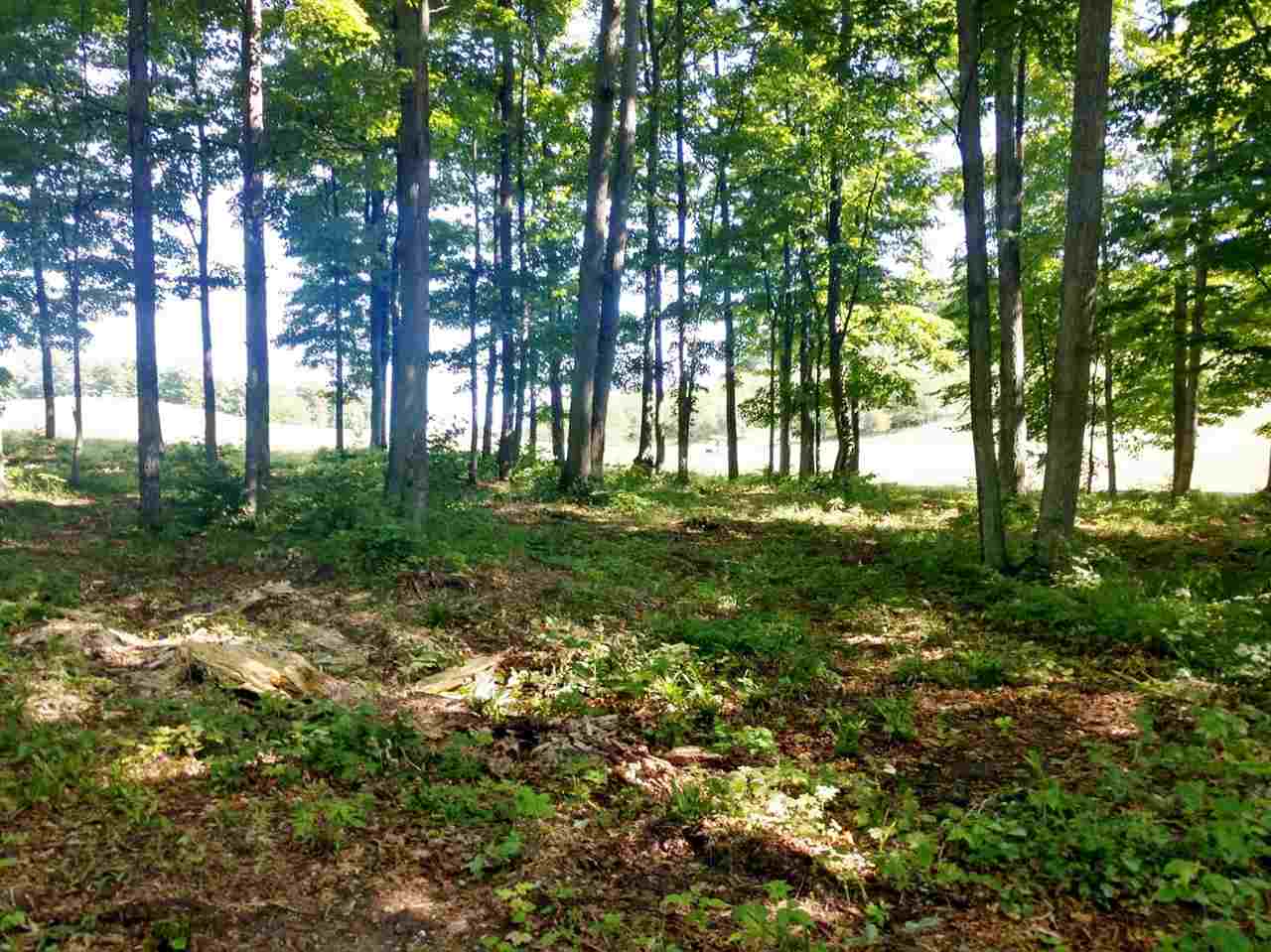 Photo 3 of Land for sale at 008 Heather Ridge Trl, Beulah, MI 49617 | MLS# 78080051329 | Listing updated on 2026-10-01
