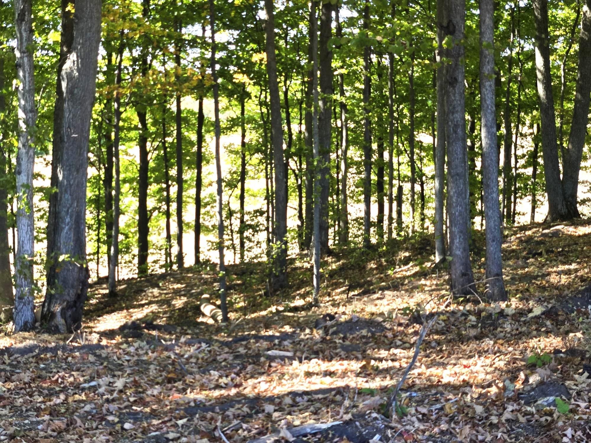 Photo 3 of Land for sale at 008 Heather Ridge Trl, Beulah, MI 49617 | MLS# 78080051329 | Listing updated on 2026-10-01
