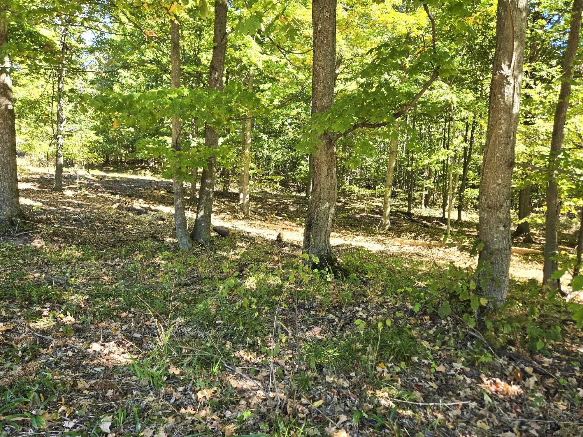 Photo 4 of Land for sale at 0025 Heather Ridge Trl, Beulah, MI 49617 | MLS# 78080051334 | Listing updated on 2026-10-01