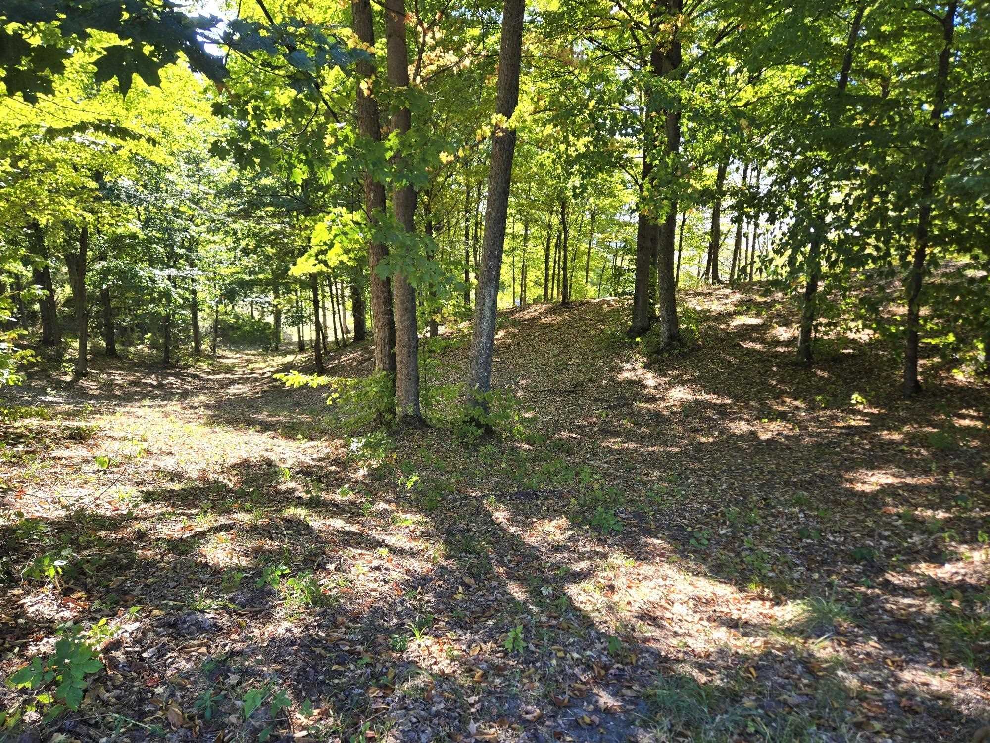 Photo 3 of Land for sale at 0013 Heather Ridge Trl, Beulah, MI 49617 | MLS# 78080051335 | Listing updated on 2026-10-01