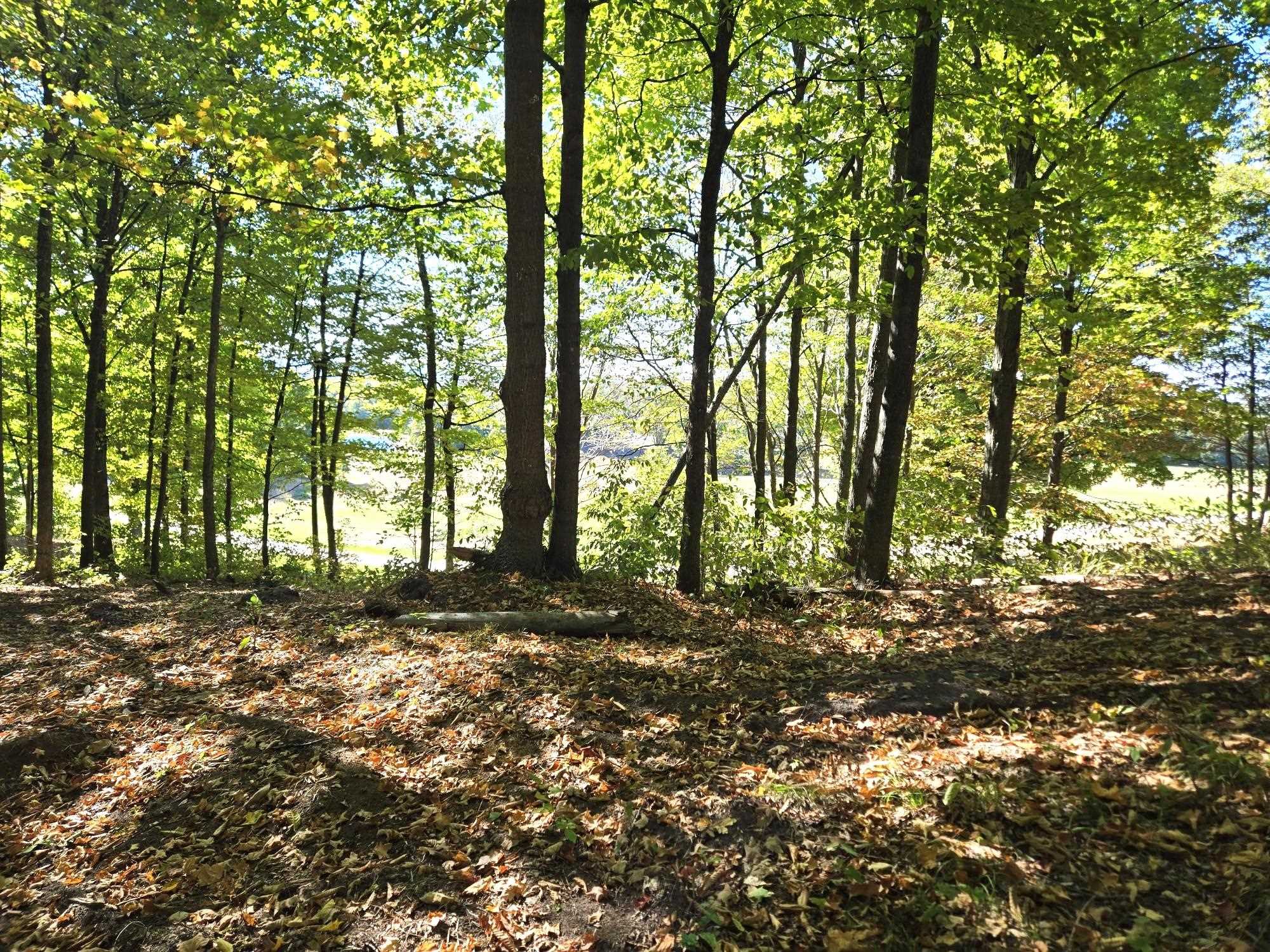 Photo 4 of Land for sale at 0013 Heather Ridge Trl, Beulah, MI 49617 | MLS# 78080051335 | Listing updated on 2026-10-01