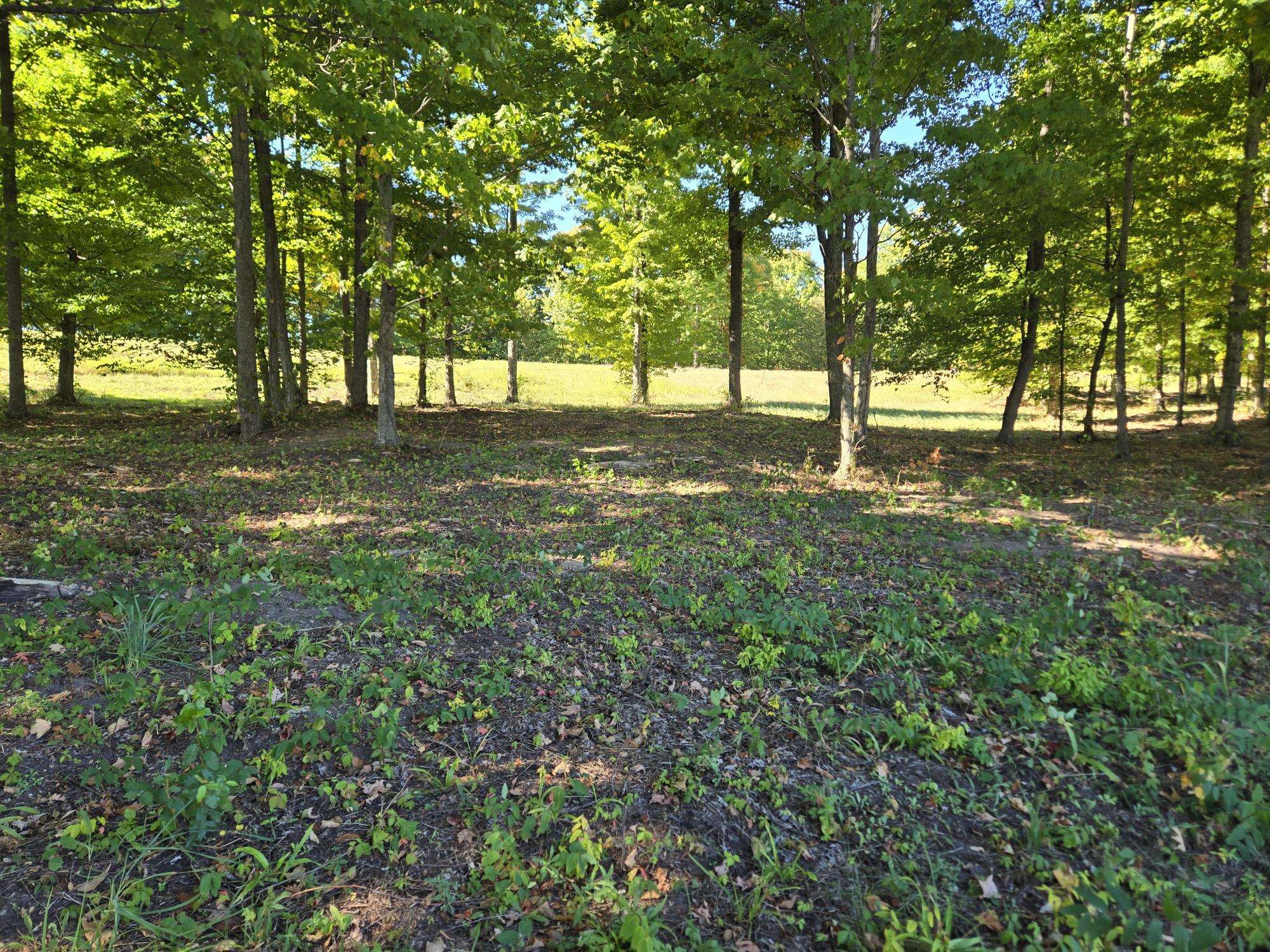 Photo 3 of Land for sale at 0020 Heather Ridge Trl, Beulah, MI 49617 | MLS# 78080051336 | Listing updated on 2026-10-01