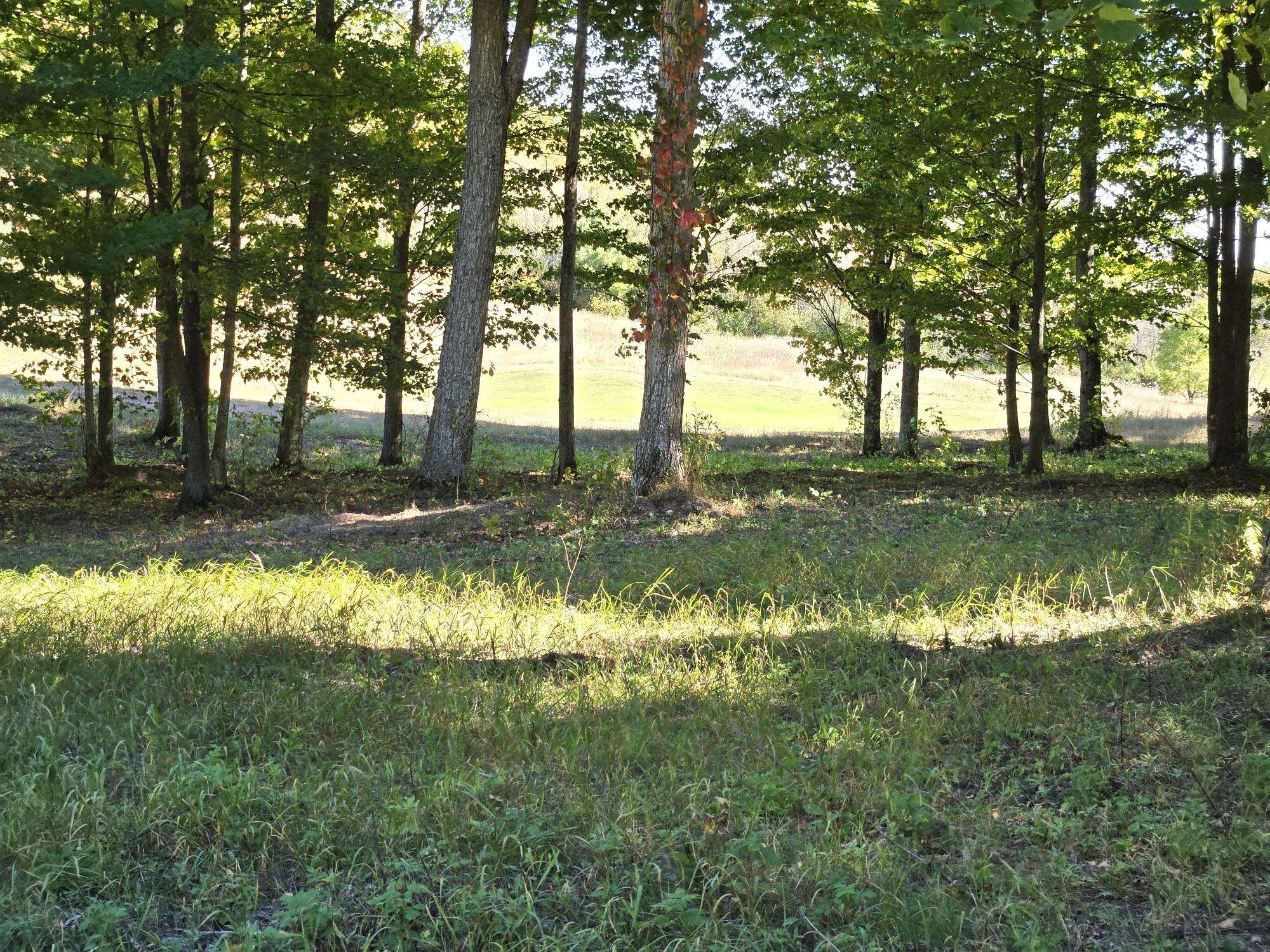 Photo 4 of Land for sale at 0020 Heather Ridge Trl, Beulah, MI 49617 | MLS# 78080051336 | Listing updated on 2026-10-01