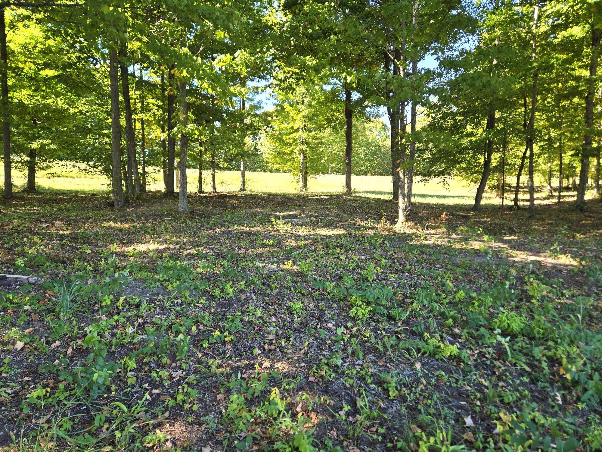 Photo 3 of Land for sale at 0019 Heather Ridge Trl, Beulah, MI 49617 | MLS# 78080051357 | Listing updated on 2026-10-01