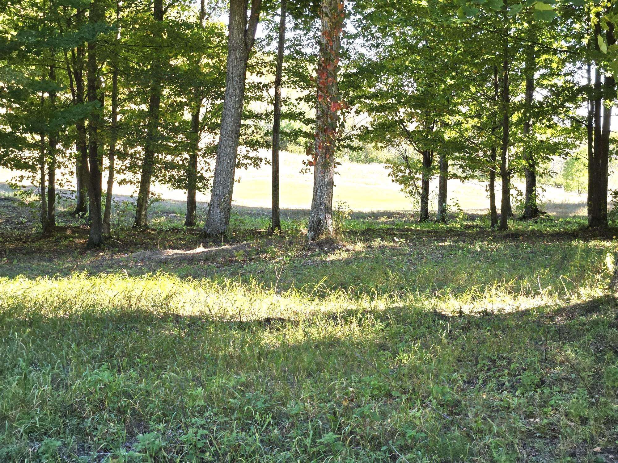 Photo 3 of Land for sale at 0019 Heather Ridge Trl, Beulah, MI 49617 | MLS# 78080051357 | Listing updated on 2026-10-01