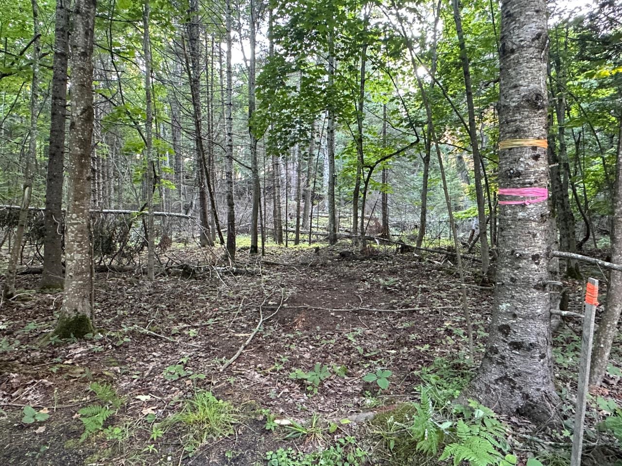 TBD Mrs Reddings Trail Parcel #5 photo 23